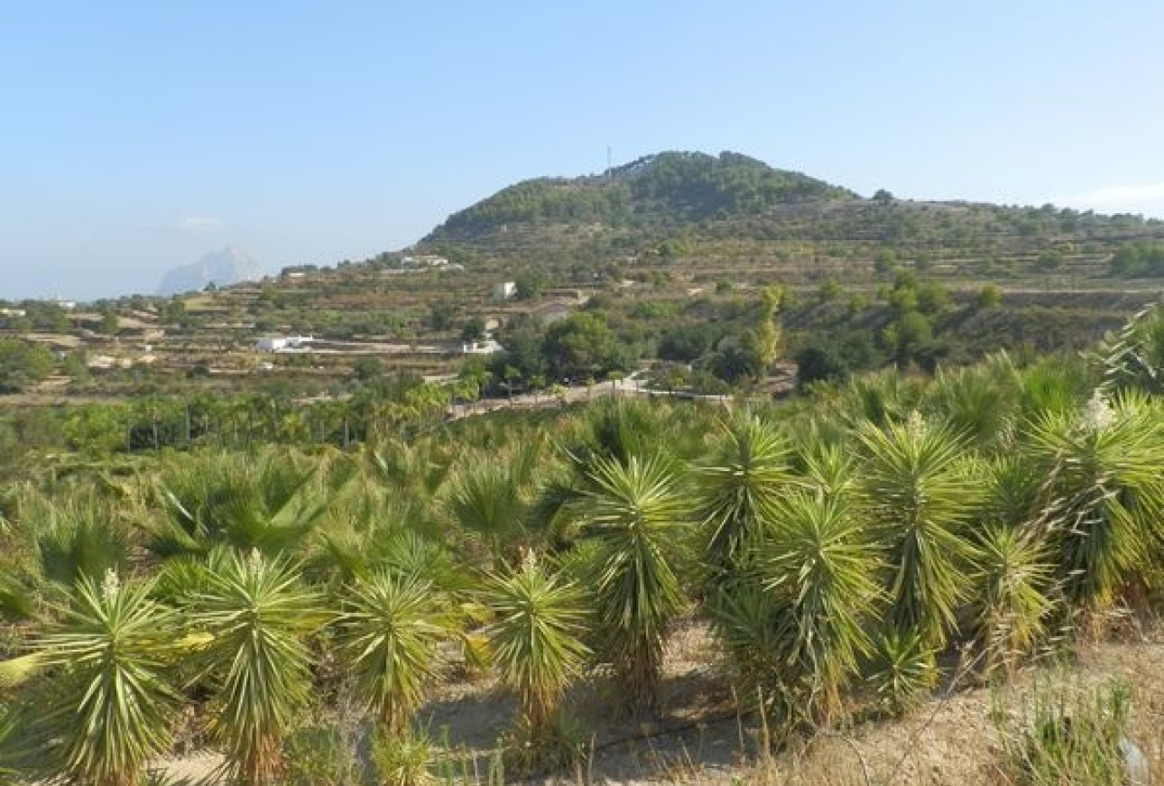 Sale - Villa - Benissa