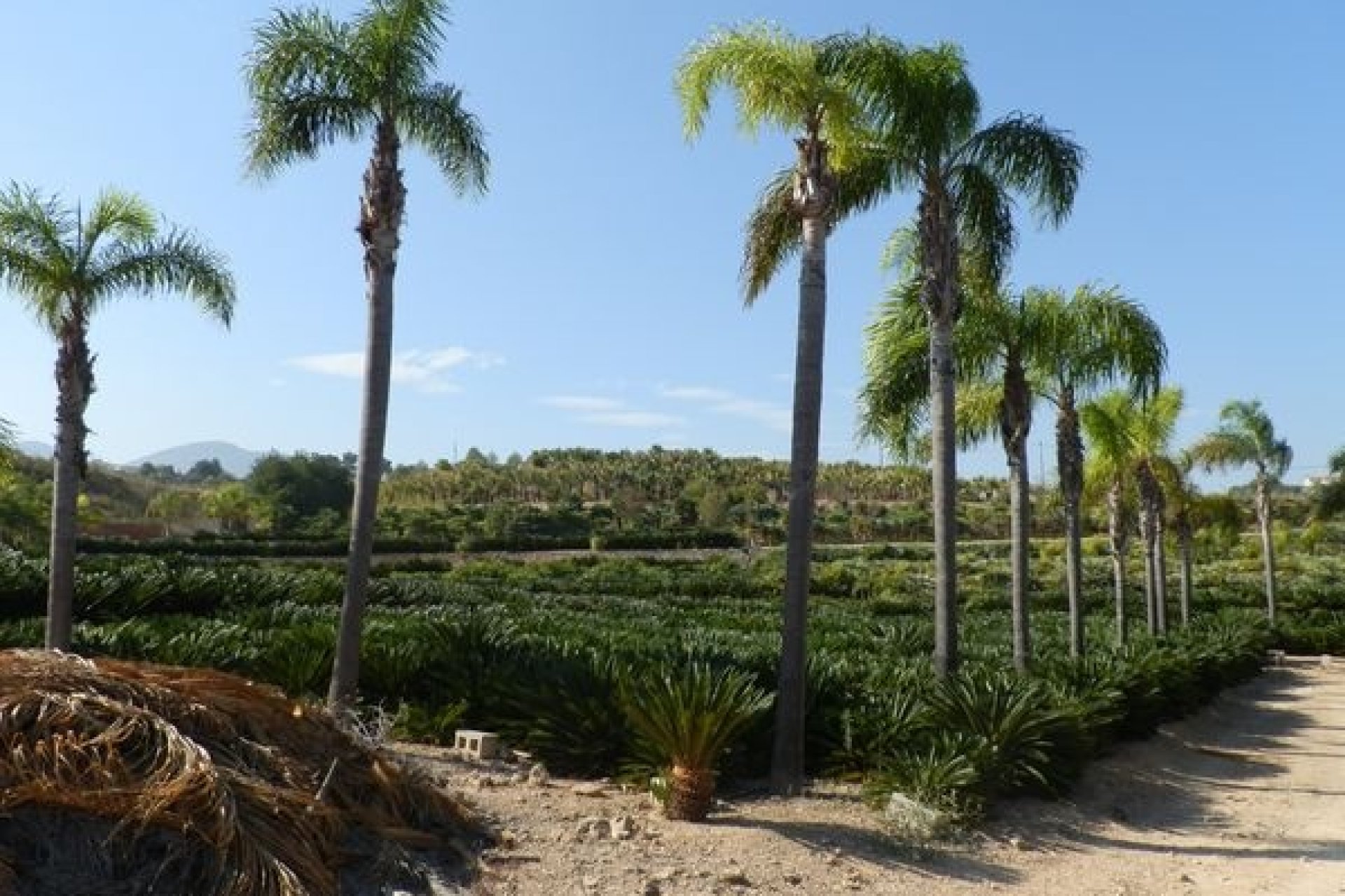 Sale - Villa - Benissa