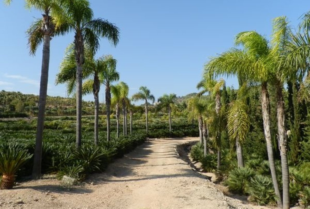 Sale - Villa - Benissa