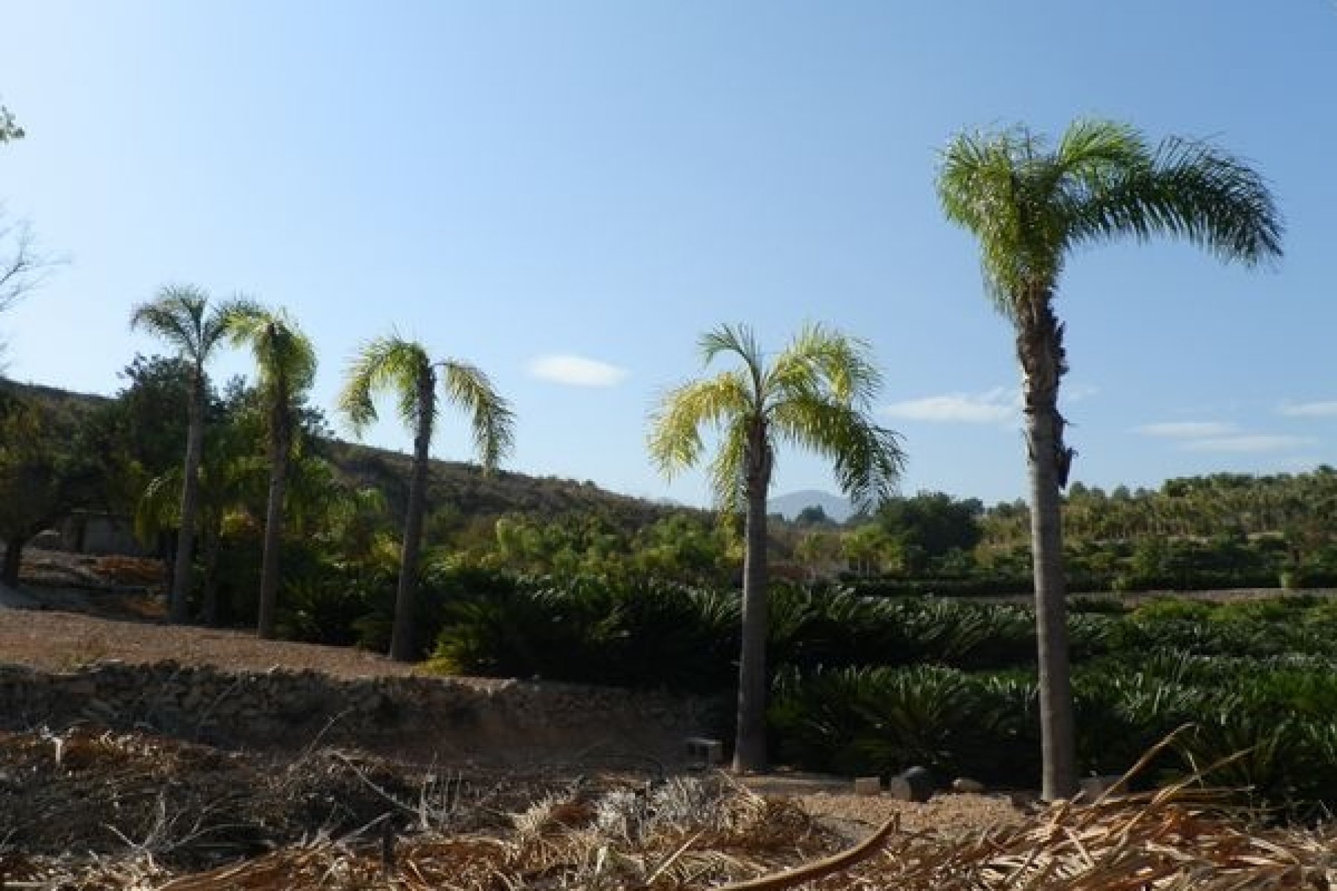 Sale - Villa - Benissa