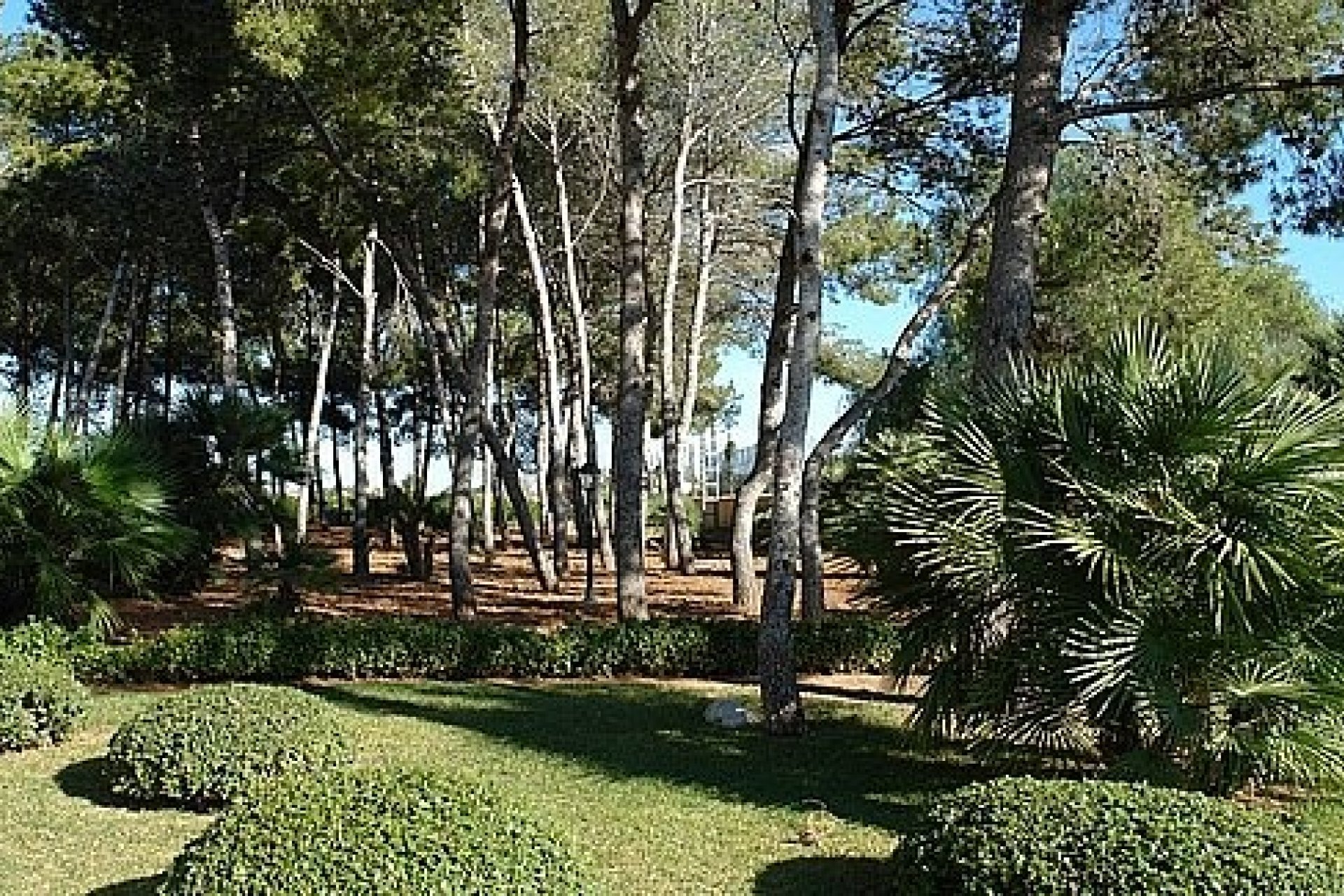 Sale - Villa - Denia - La Xara
