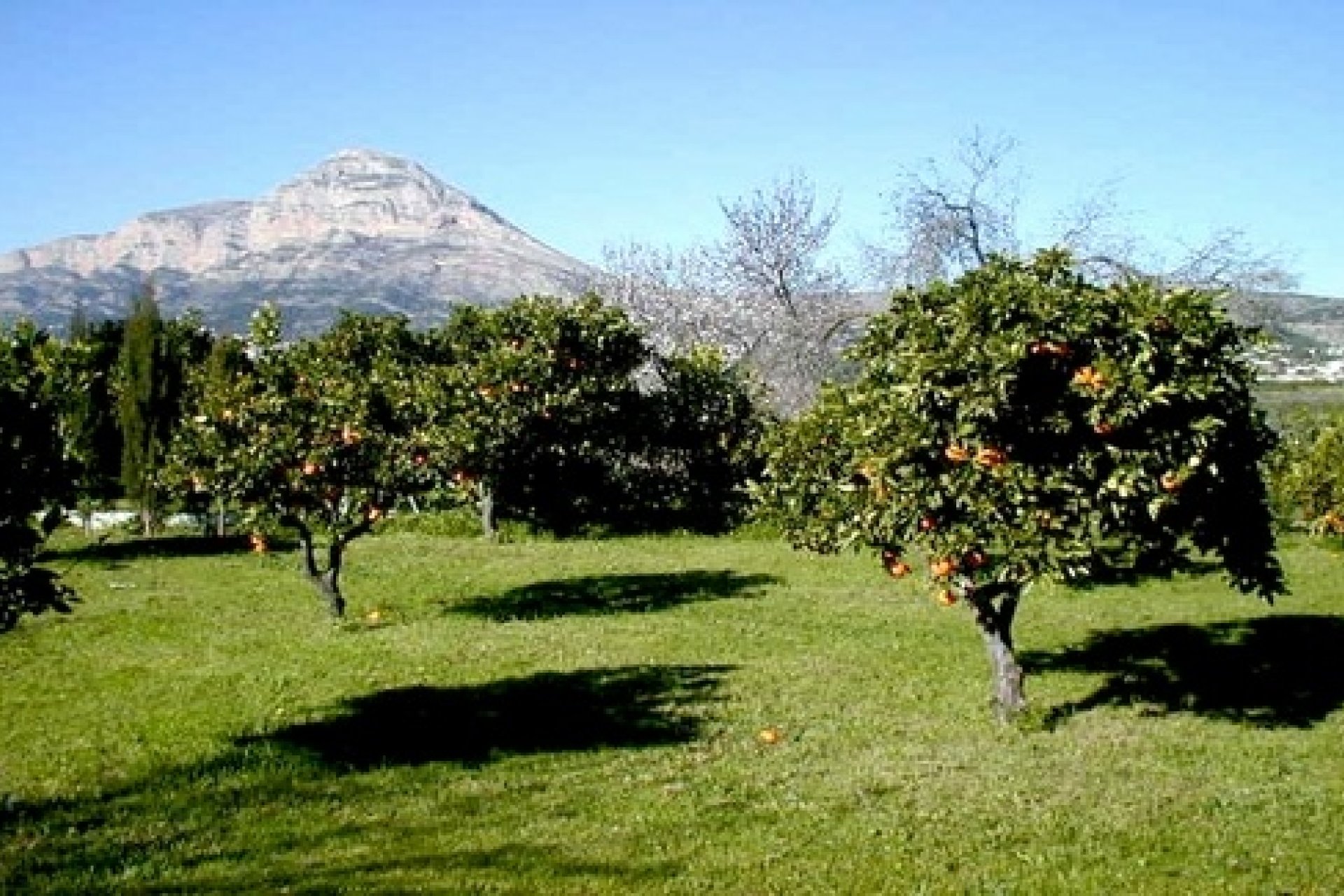 Sale - Villa - Javea - Javea/Xabia