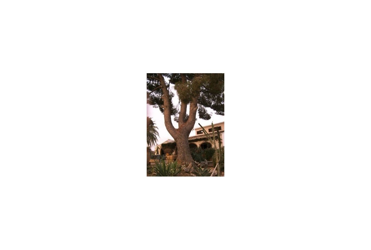 Sale - Villa - Javea - Javea/Xabia