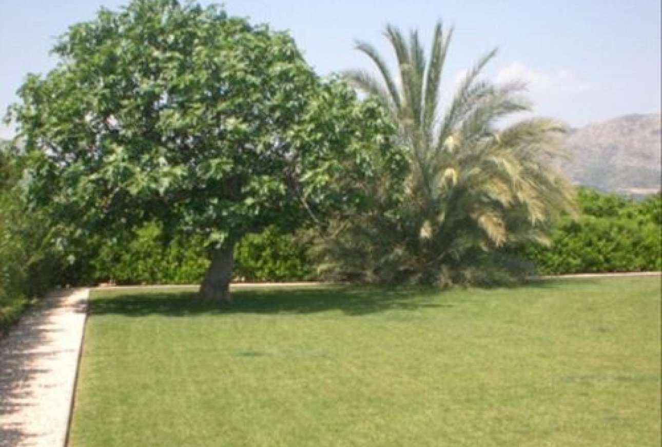 Sale - Villa - Orba