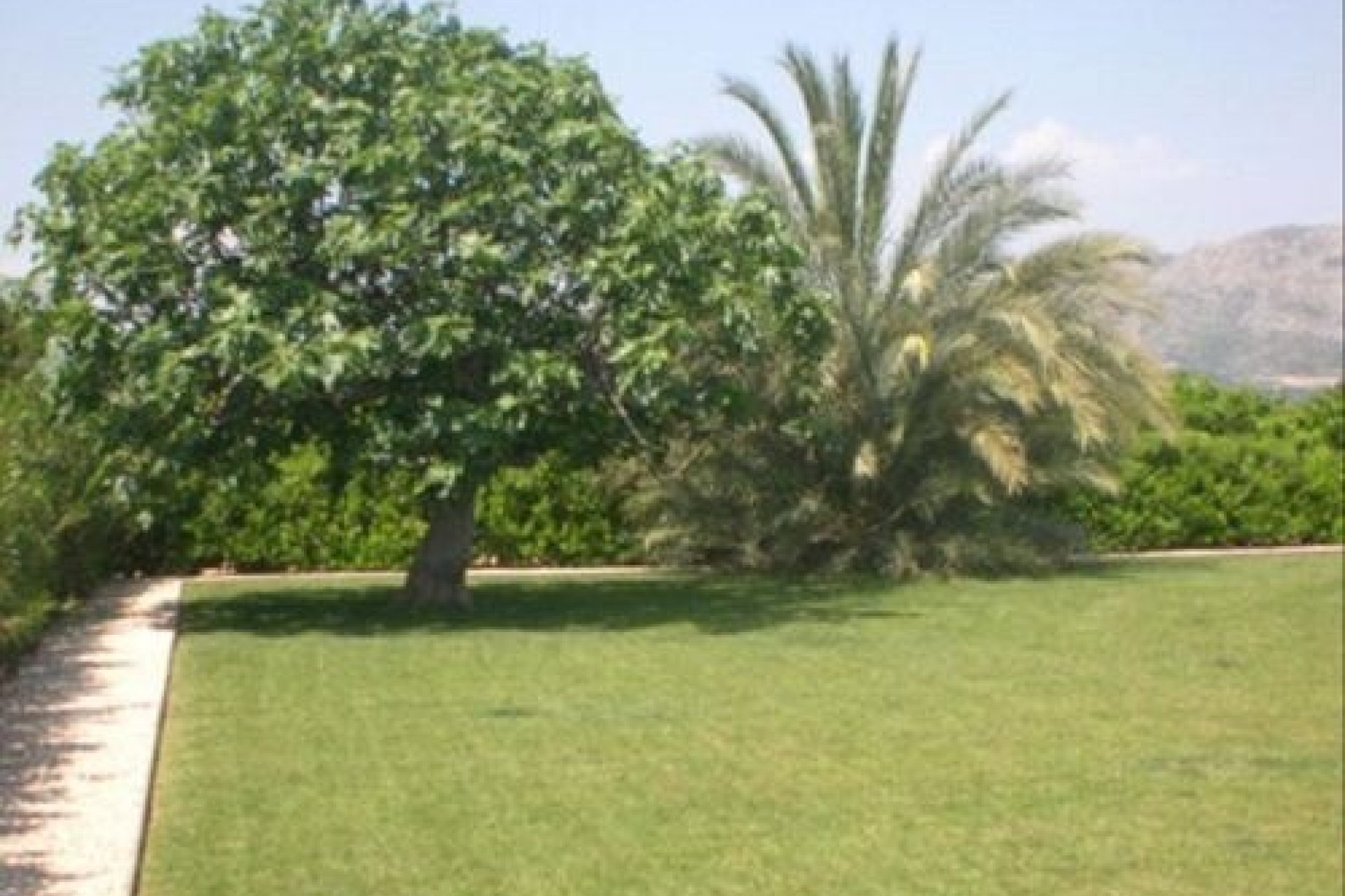 Sale - Villa - Orba