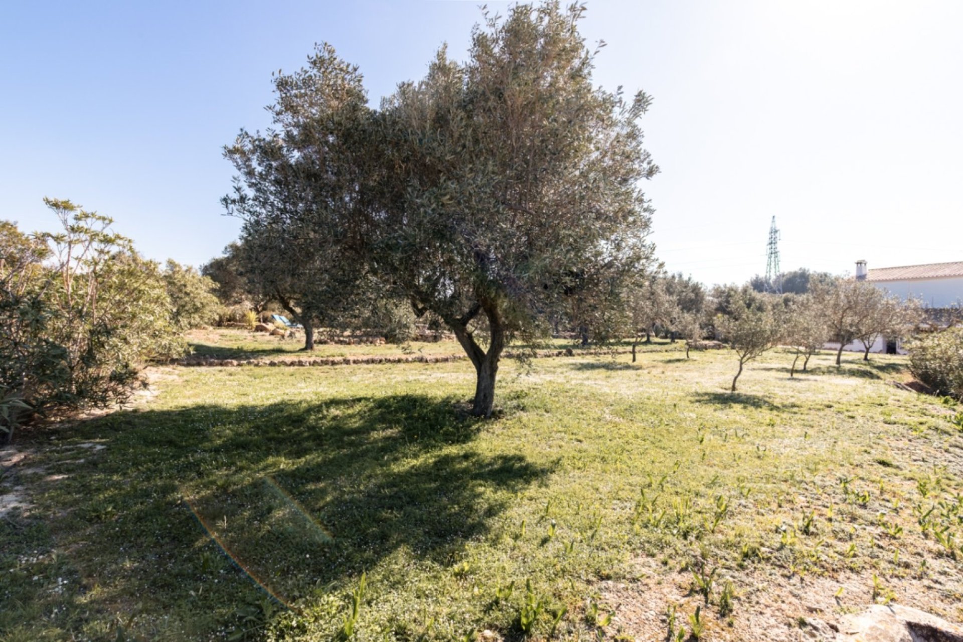 Sale - Villa - Teulada - Canor