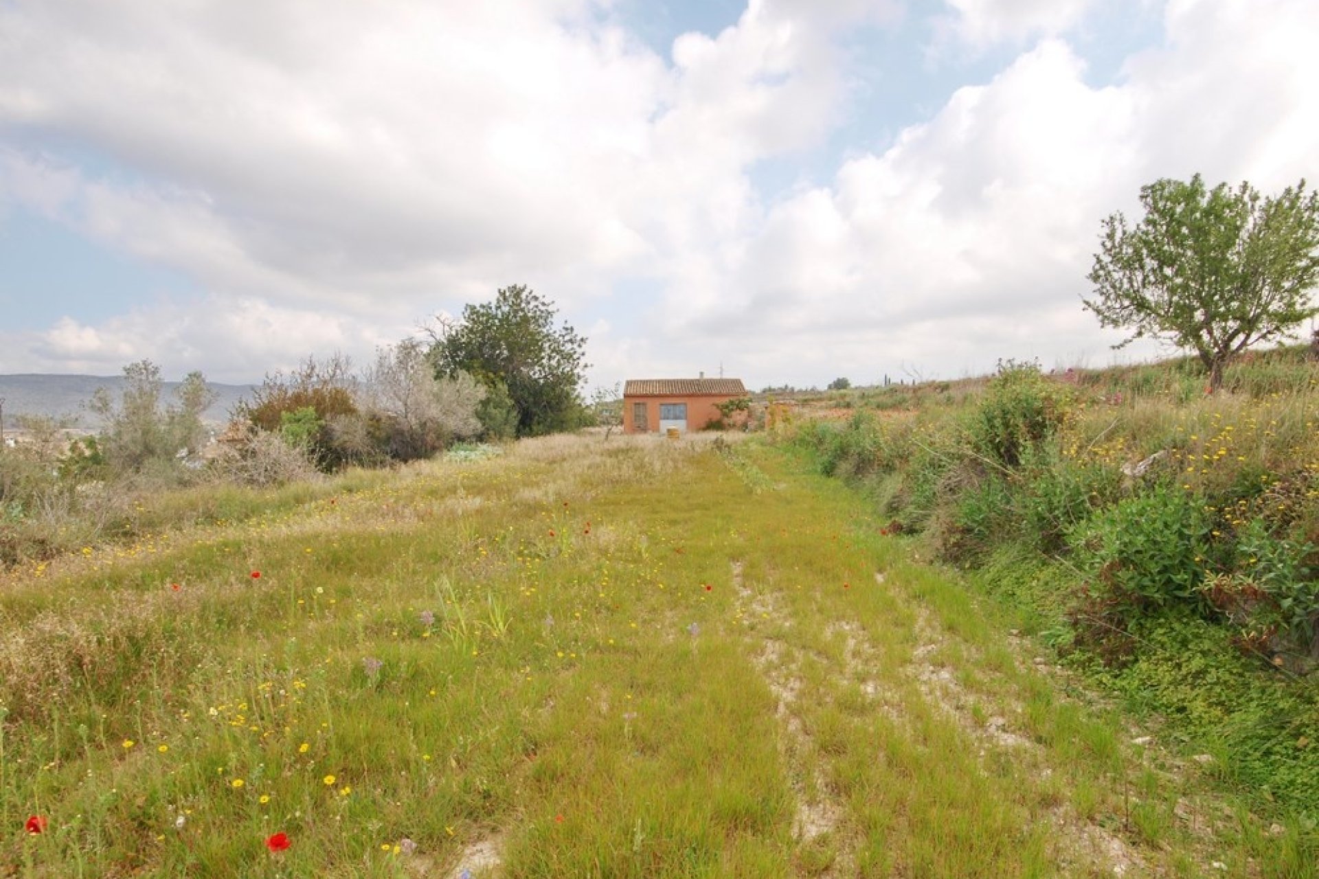 Sale - Villa - Teulada - Centro/Teulada