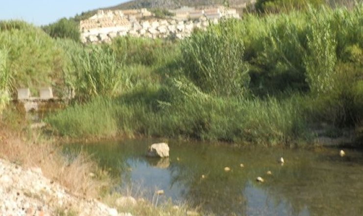 Terrain - Vente - Jalón - Jalón