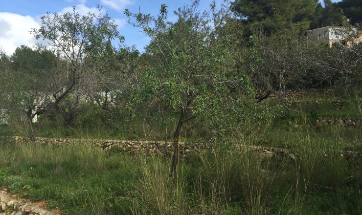 Terrain - Vente - Moraira - Paichi