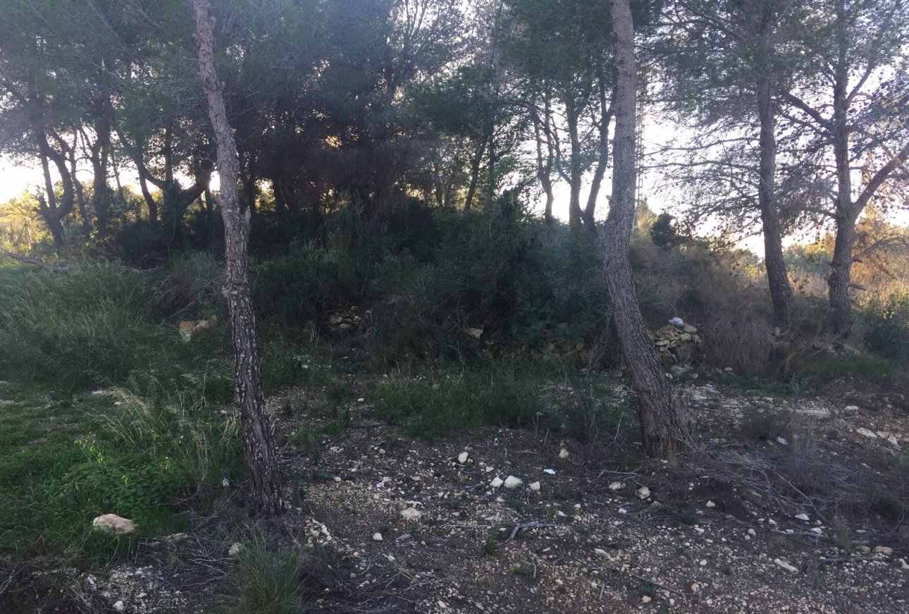Venta - Parcelas - Benissa - Benissa Costa