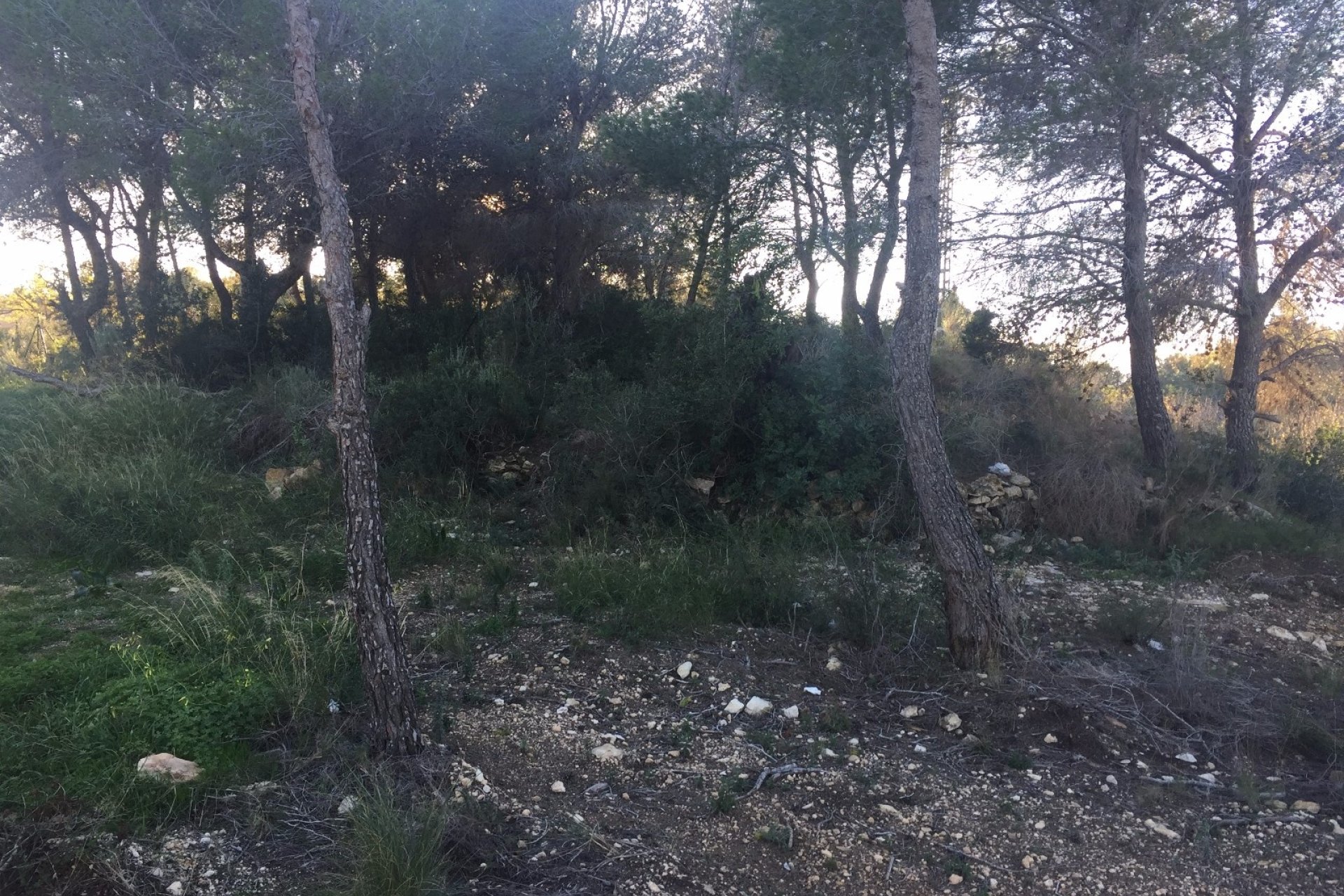 Venta - Parcelas - Benissa - Benissa Costa
