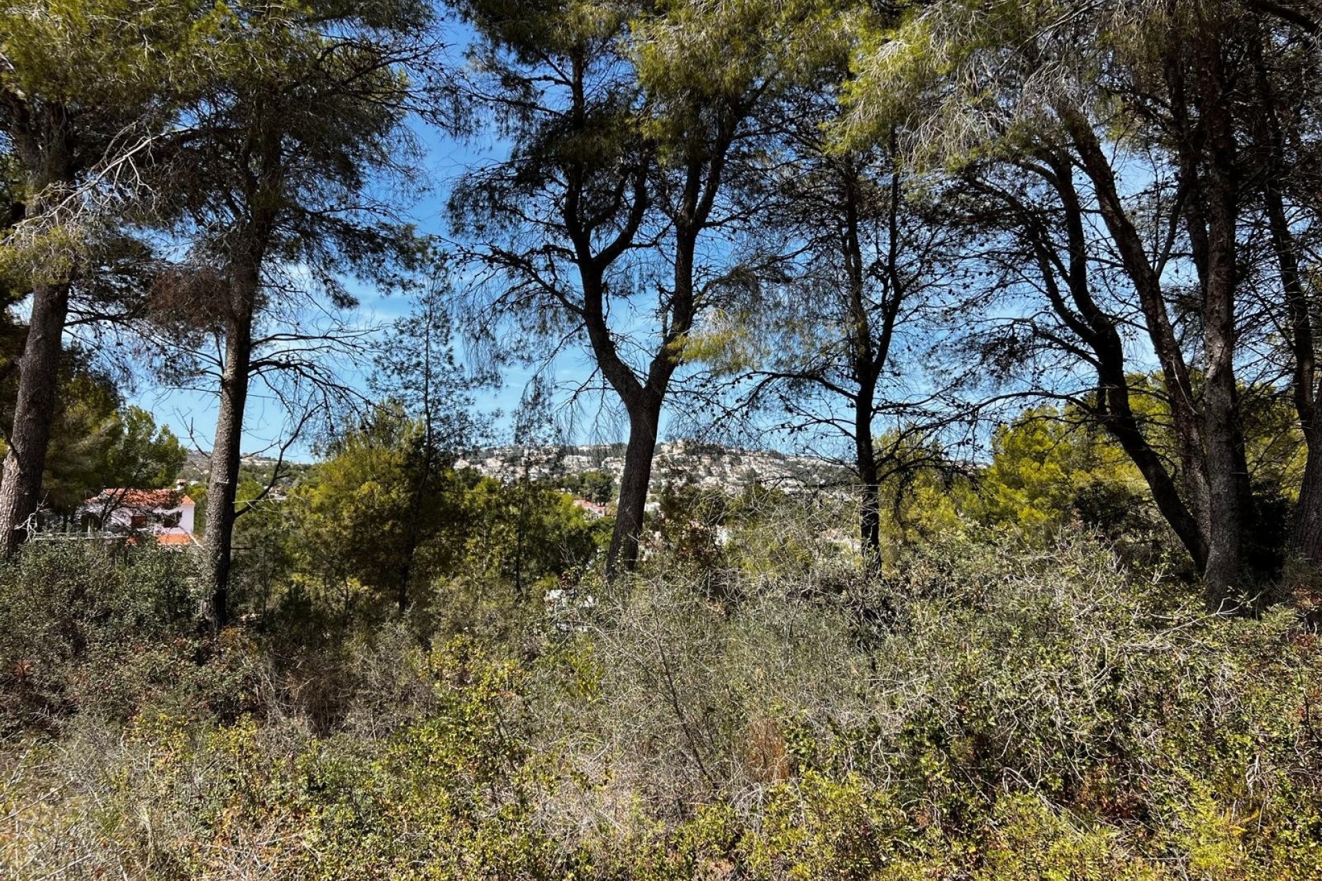 Venta - Parcelas - Benissa - Benissa Costa