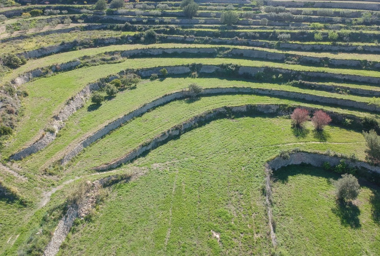 Venta - Parcelas - Benissa - Pedramala