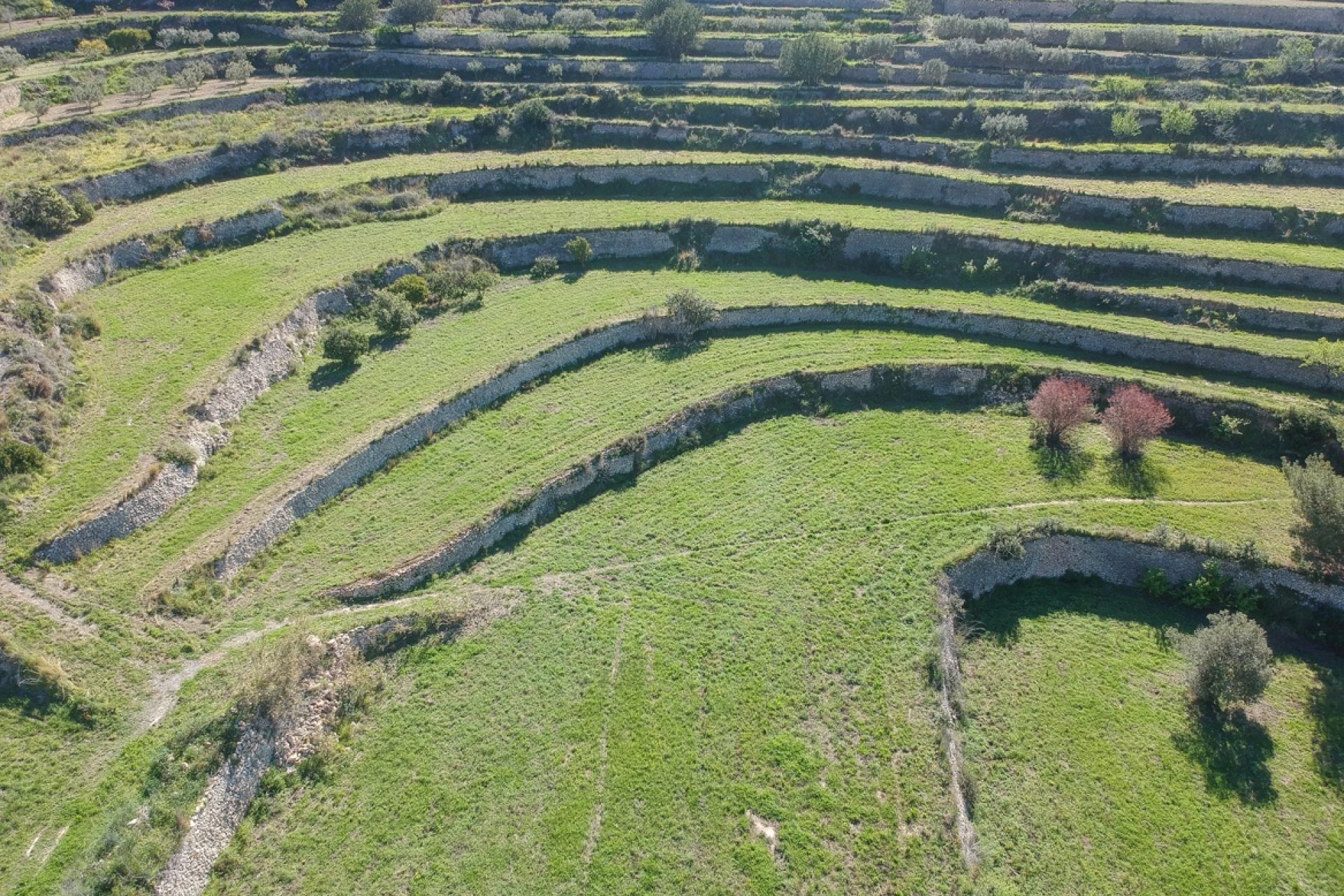 Venta - Parcelas - Benissa - Pedramala
