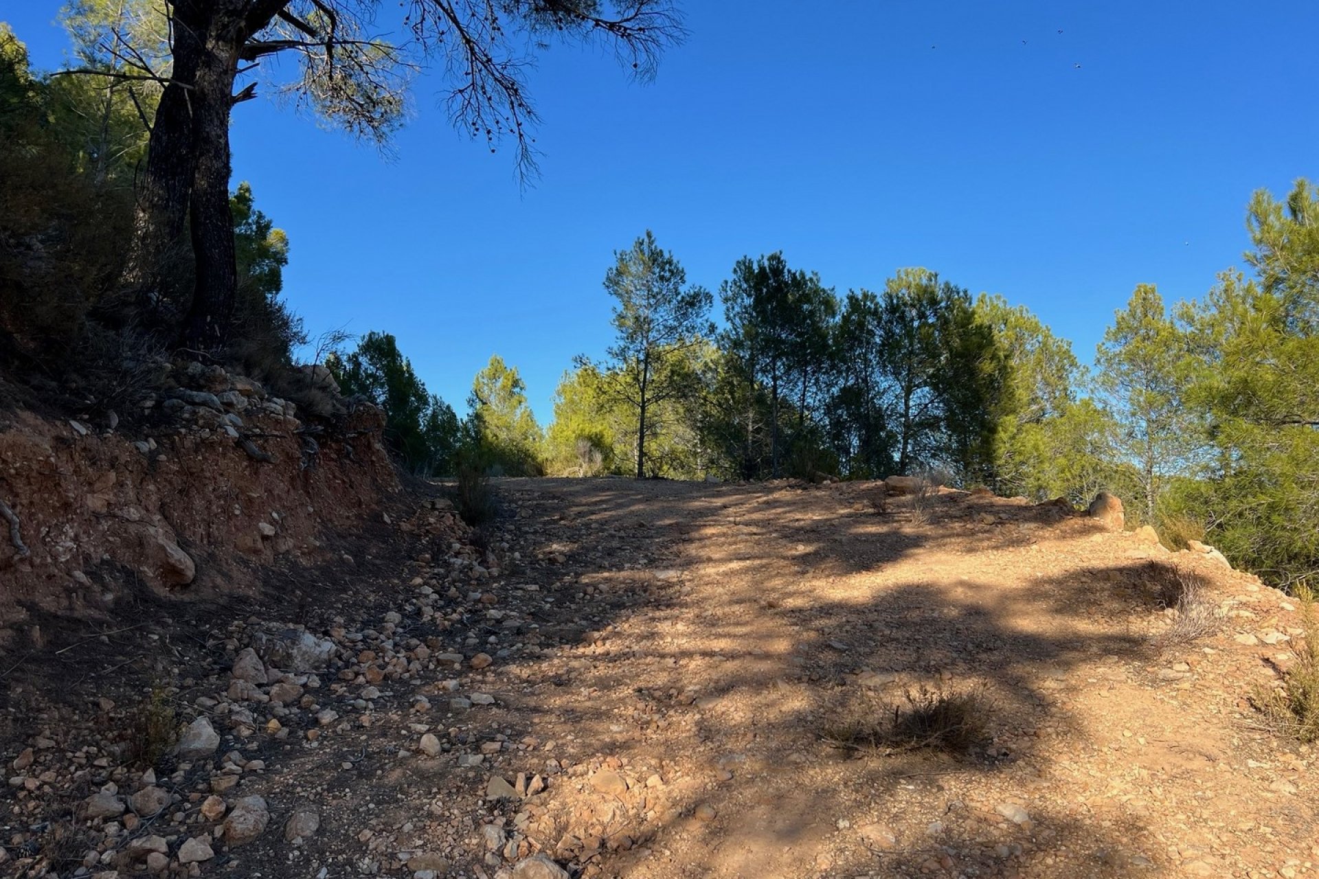 Venta - Parcelas - Benissa - Rural