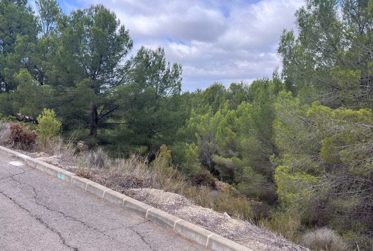 Venta - Parcelas - Callosa d'En Sarrià - 03510