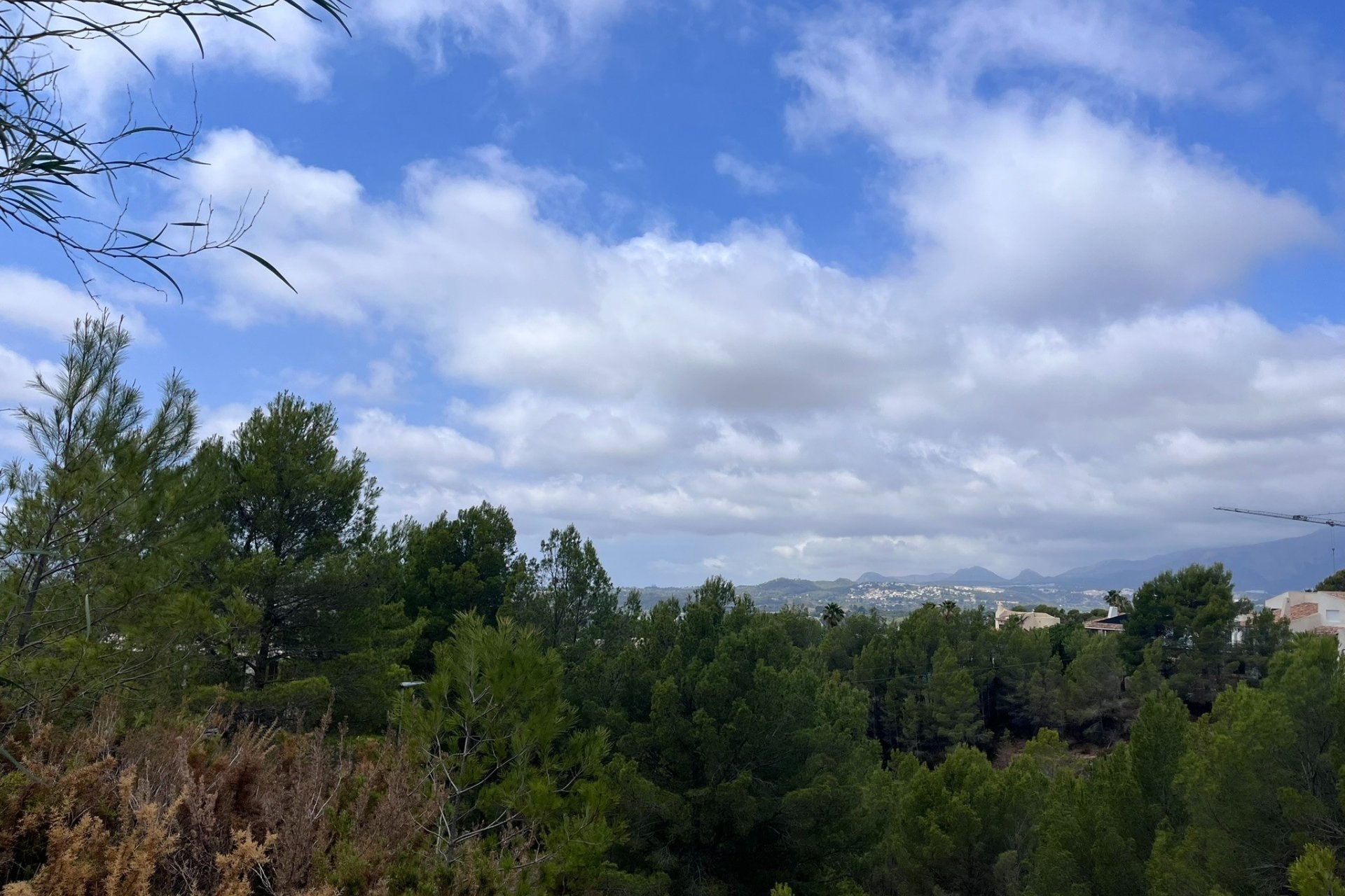 Venta - Parcelas - Callosa d'En Sarrià - 03510