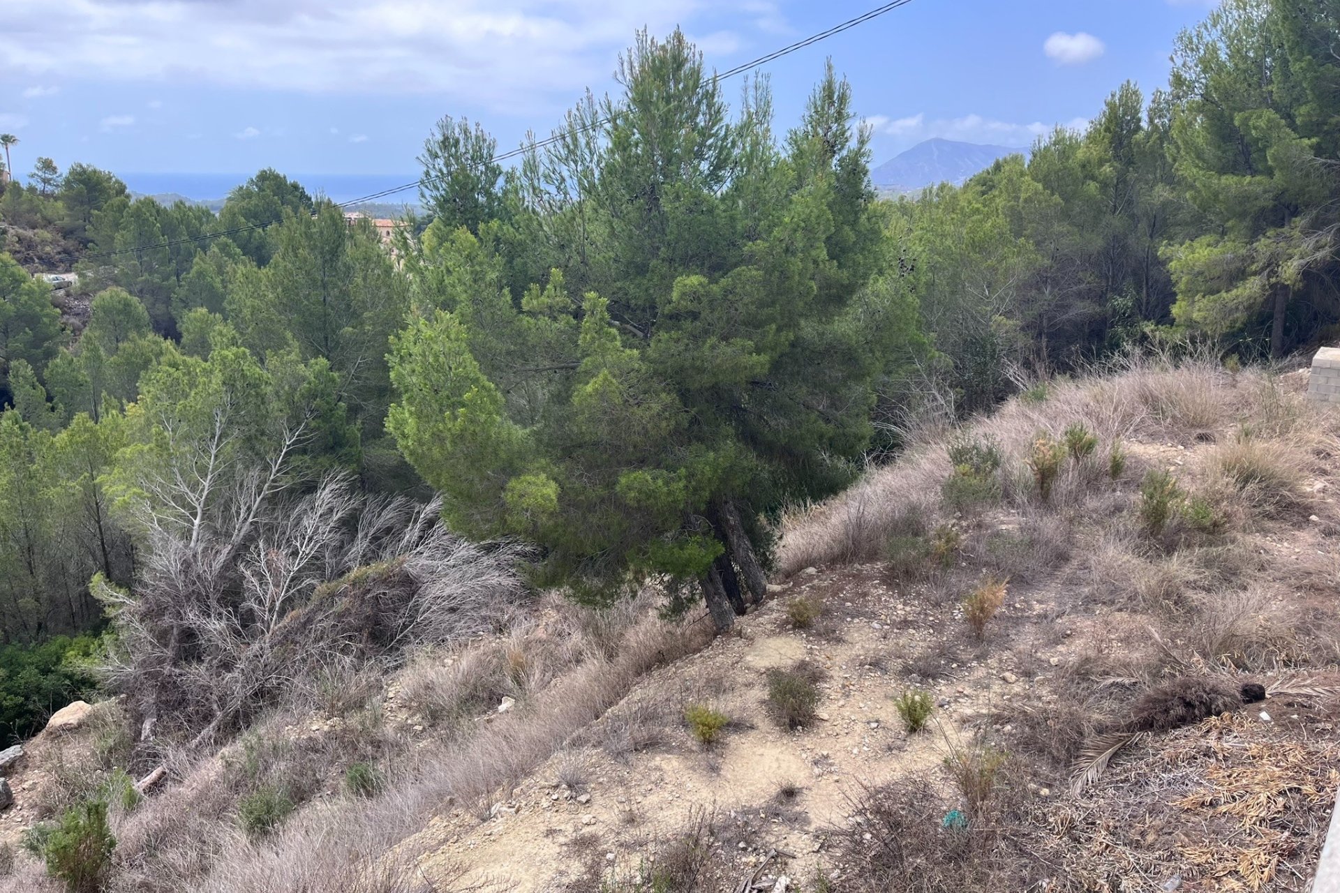 Venta - Parcelas - Callosa d'En Sarrià - 03510
