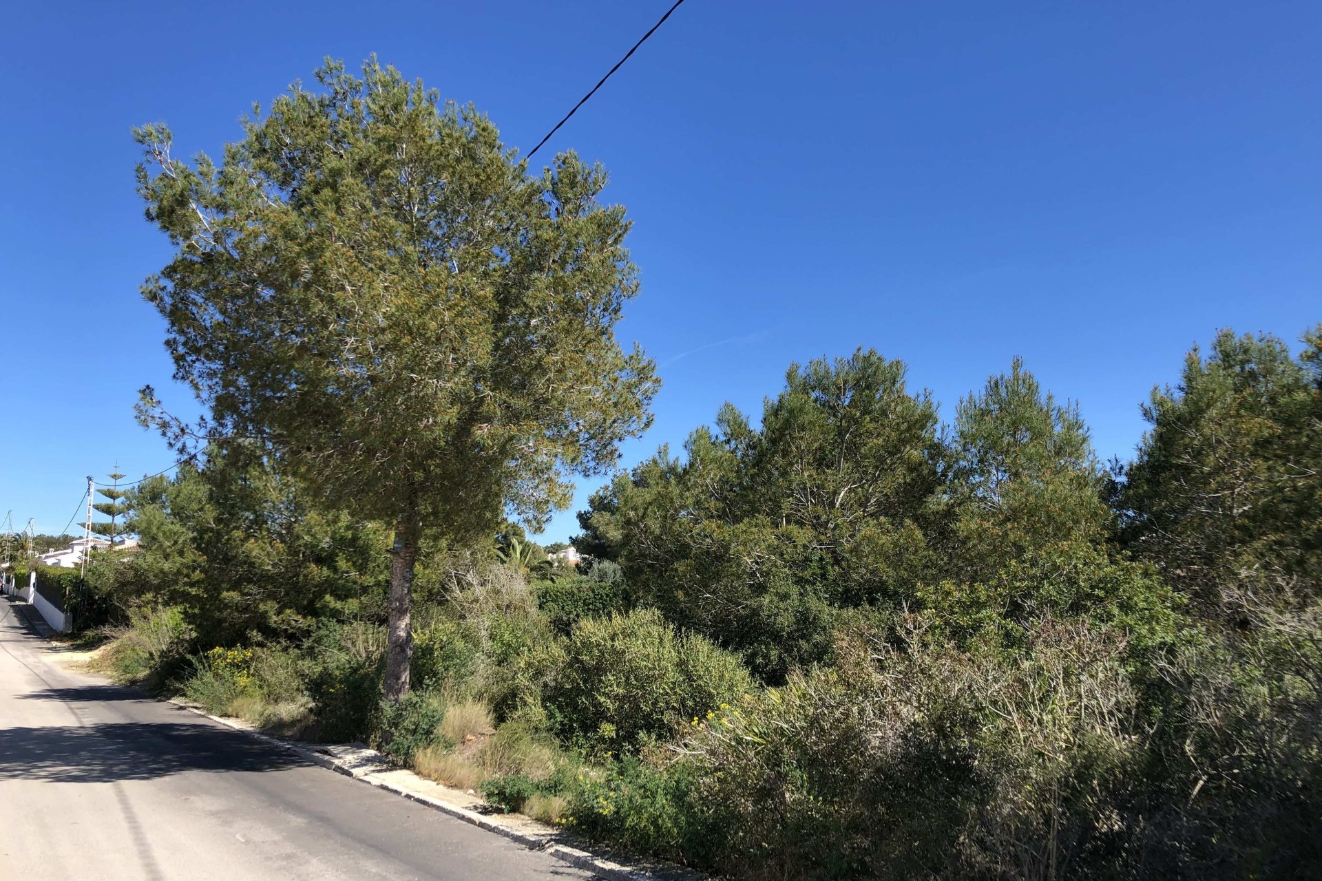 Venta - Parcelas - Javea - Costa Nova