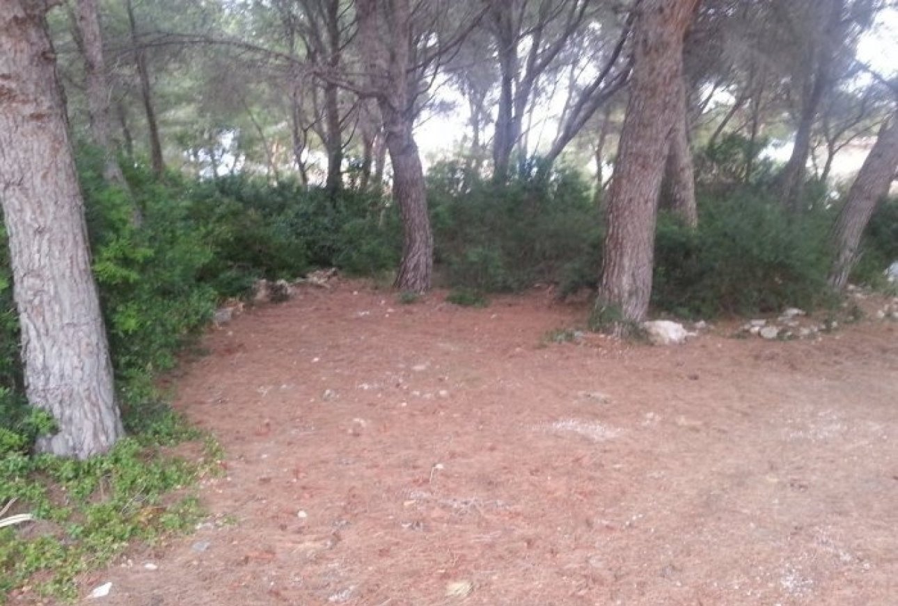 Venta - Parcelas - Moraira - Cap Blanc