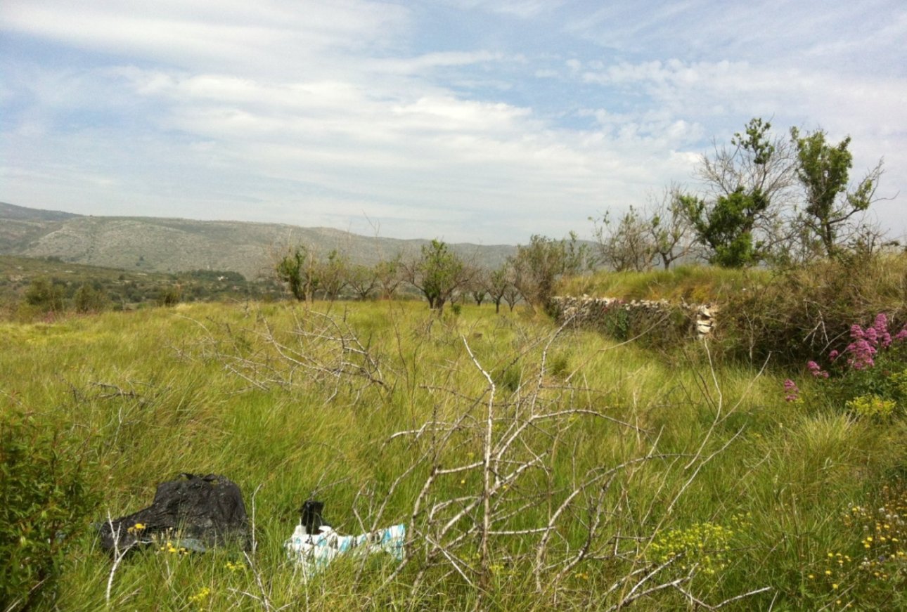 Venta - Plot - Benissa - Partida Berdica Blanca