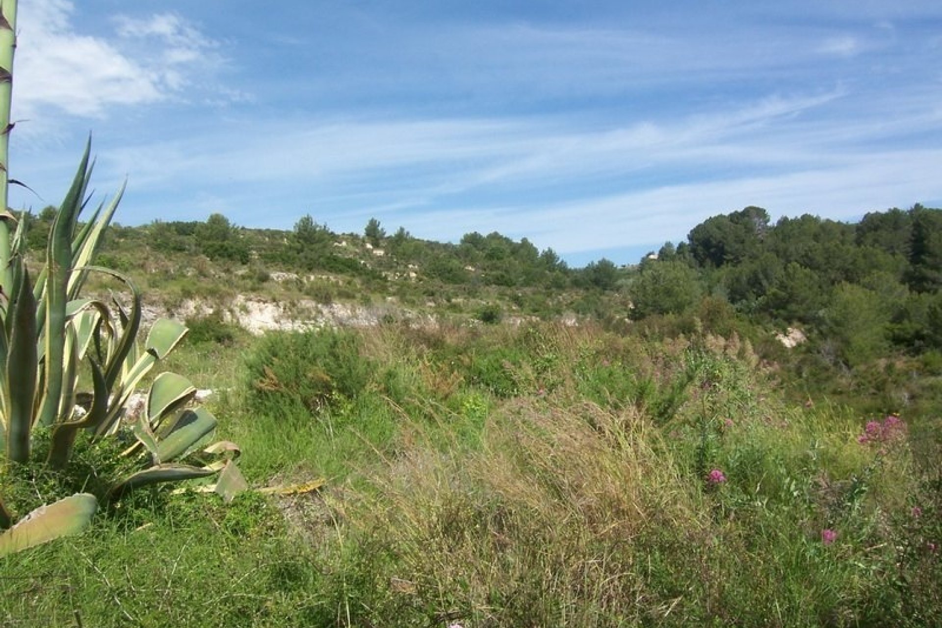 Venta - Plot - Teulada - Partida Churra