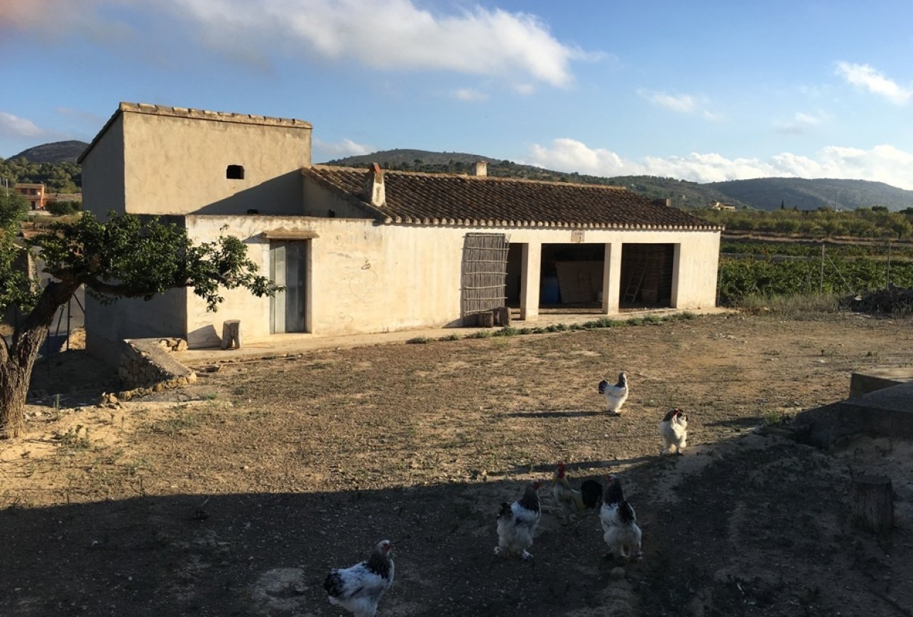 Venta - Villa - Benissa - Rural