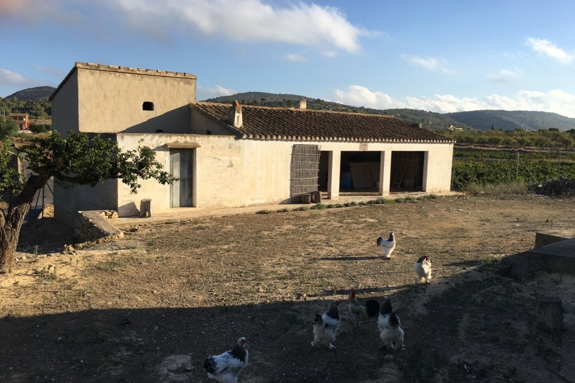 Venta - Villa - Benissa - Rural