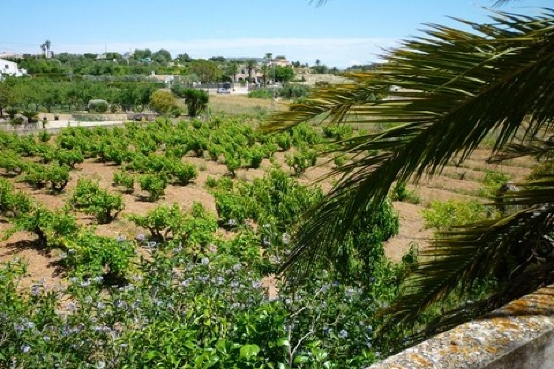 Venta - Villa - Benissa - Rural