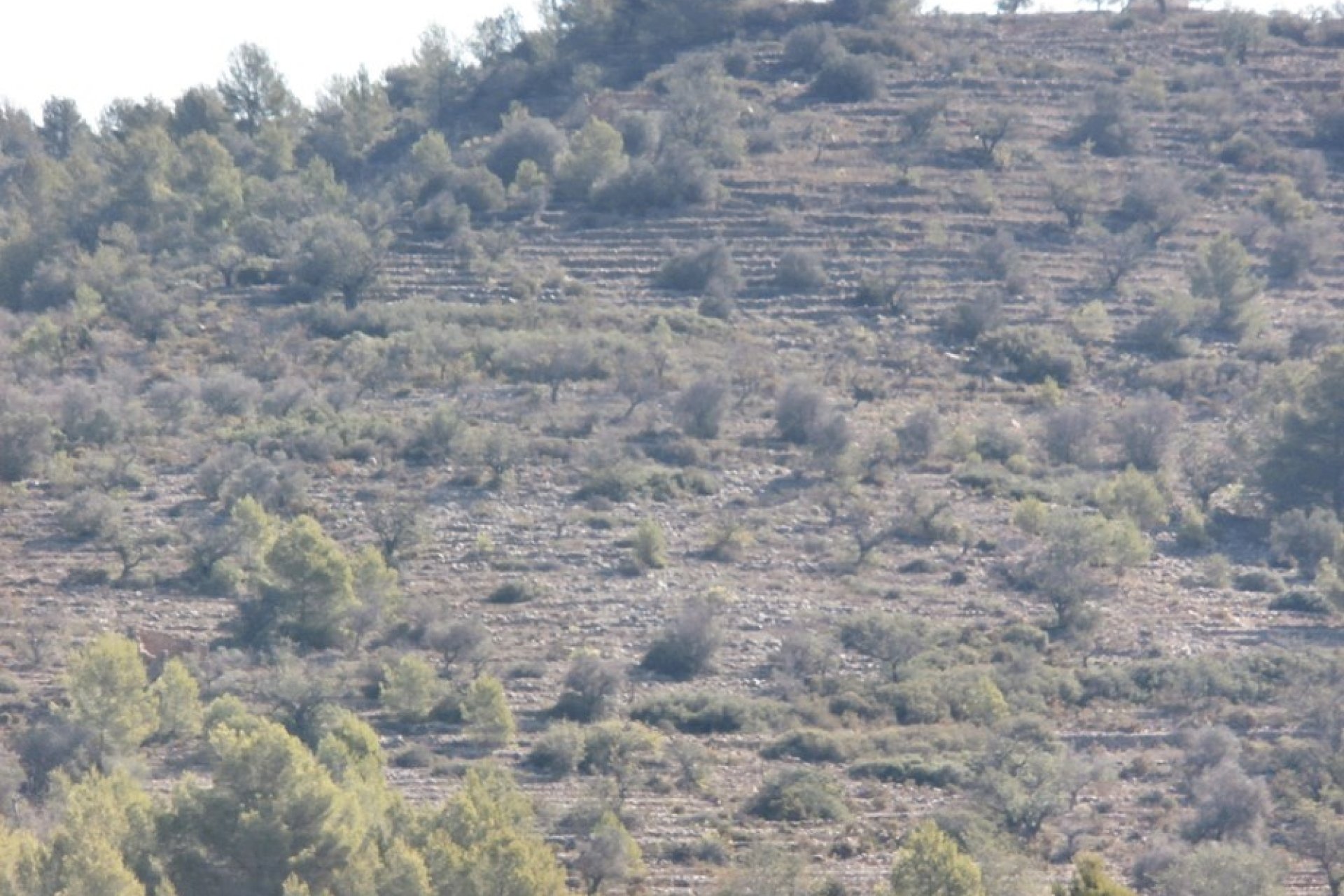 Venta - Villa - Benissa