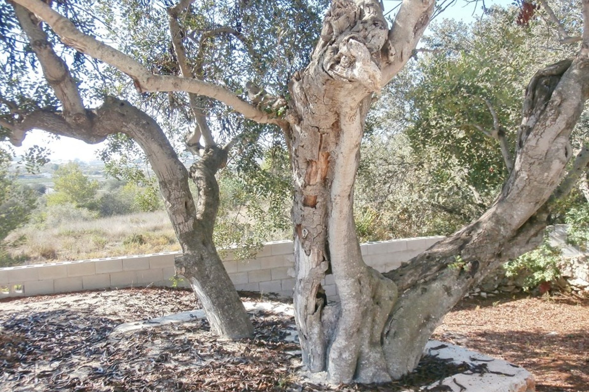 Venta - Villa - Benissa