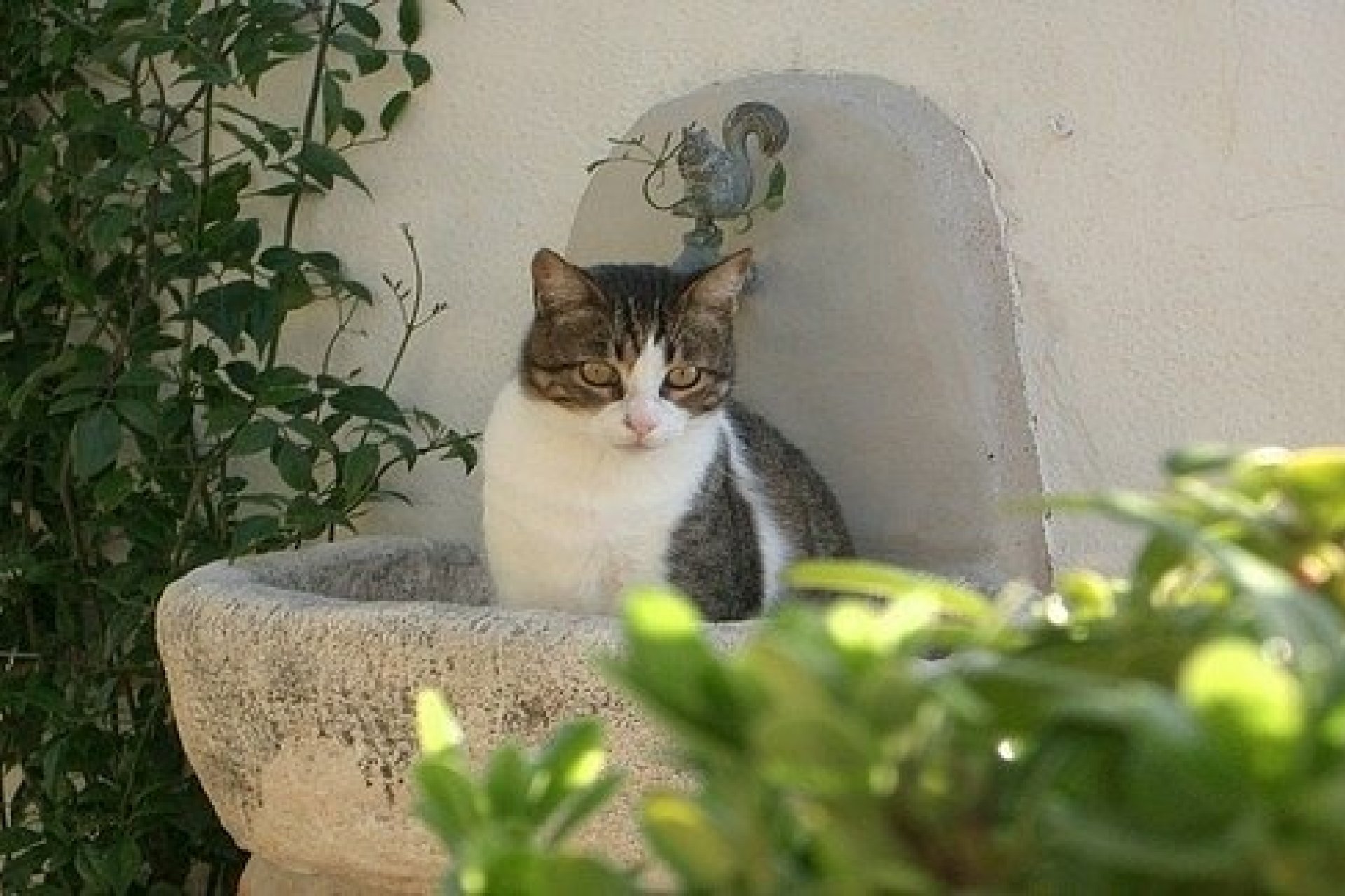 Venta - Villa - Benissa