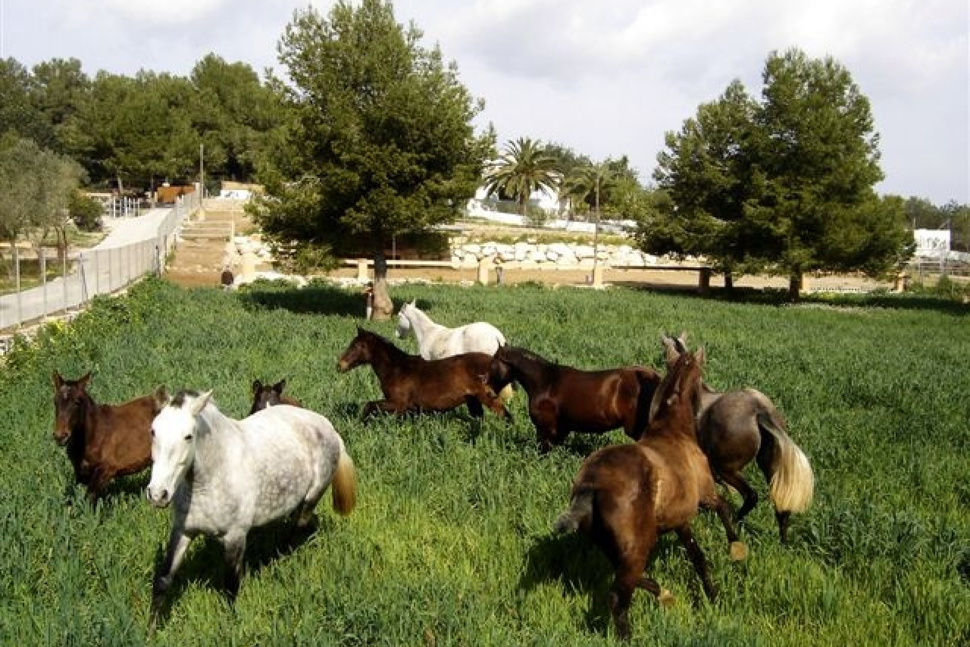 Venta - Villa - Javea - Javea/Xabia