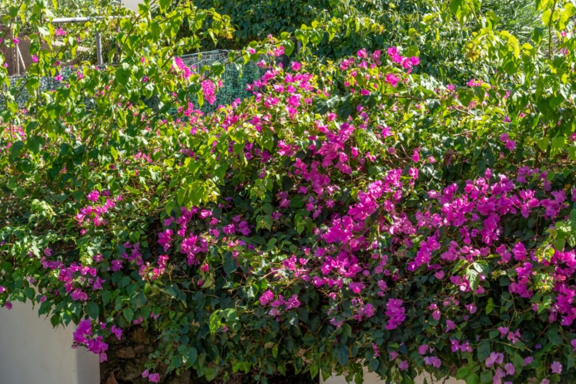 Venta - Villa - Javea - Tosalet