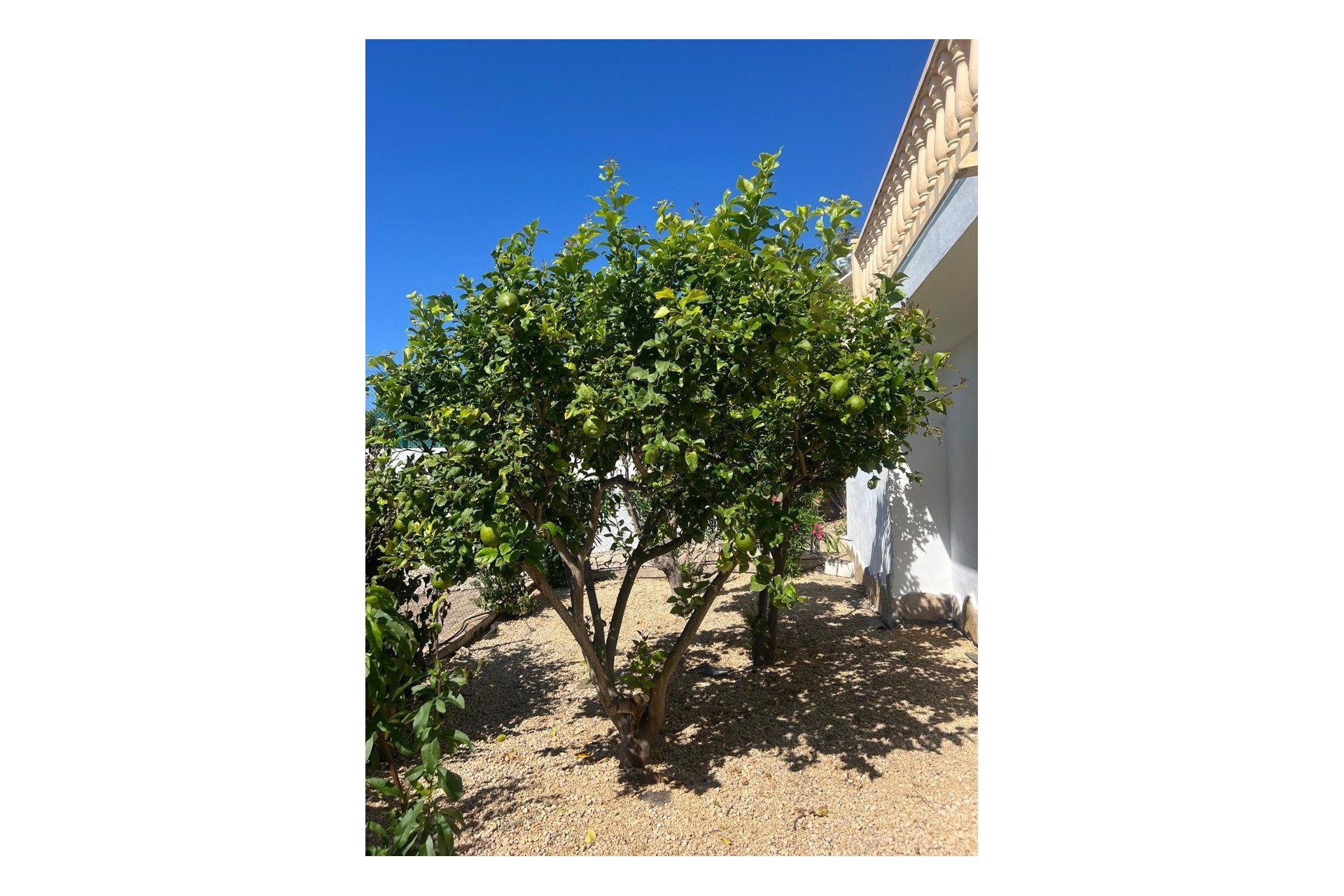 Venta - Villa - Moraira - Benimeit