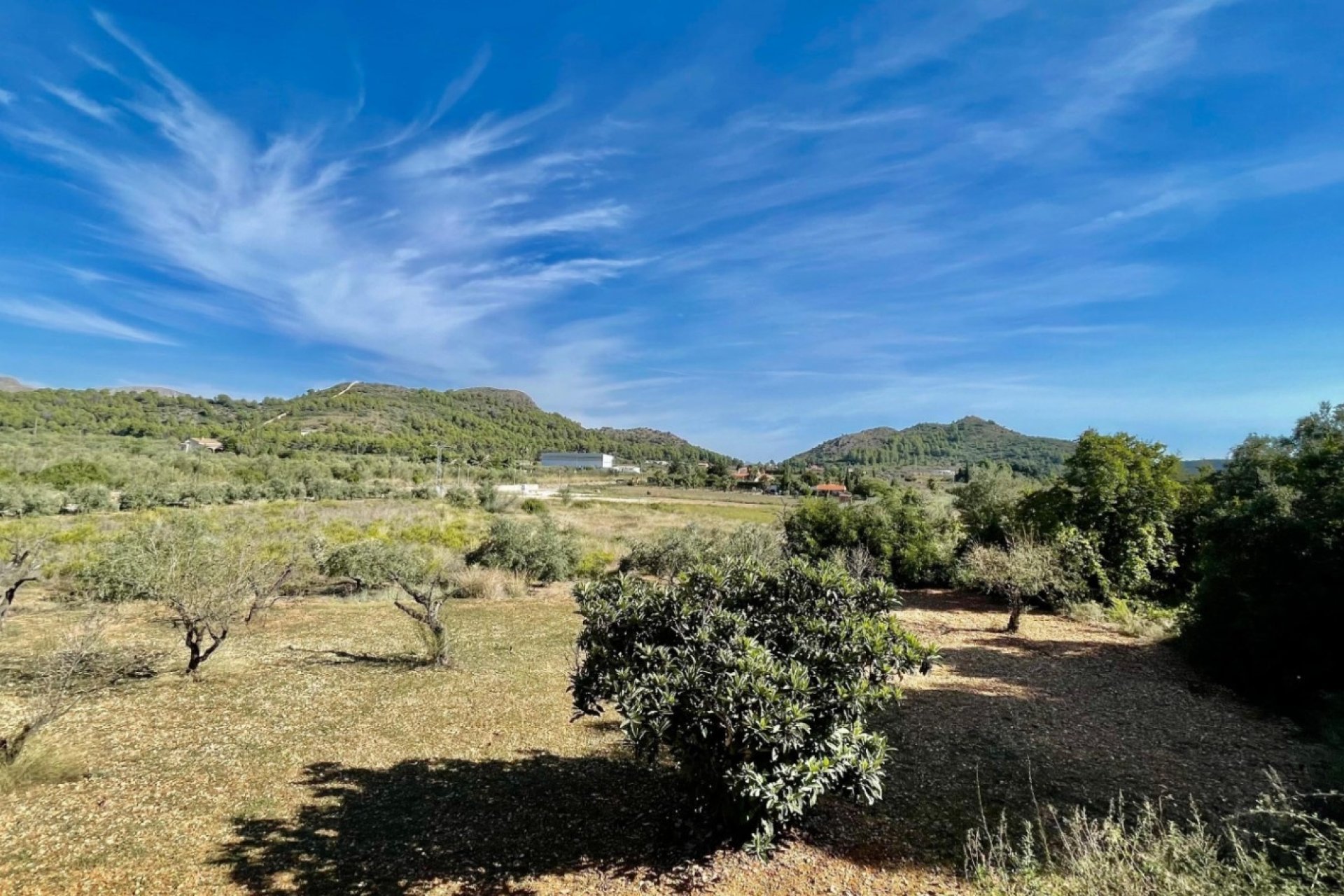 Vente - Appartement - Murla - Pueblo