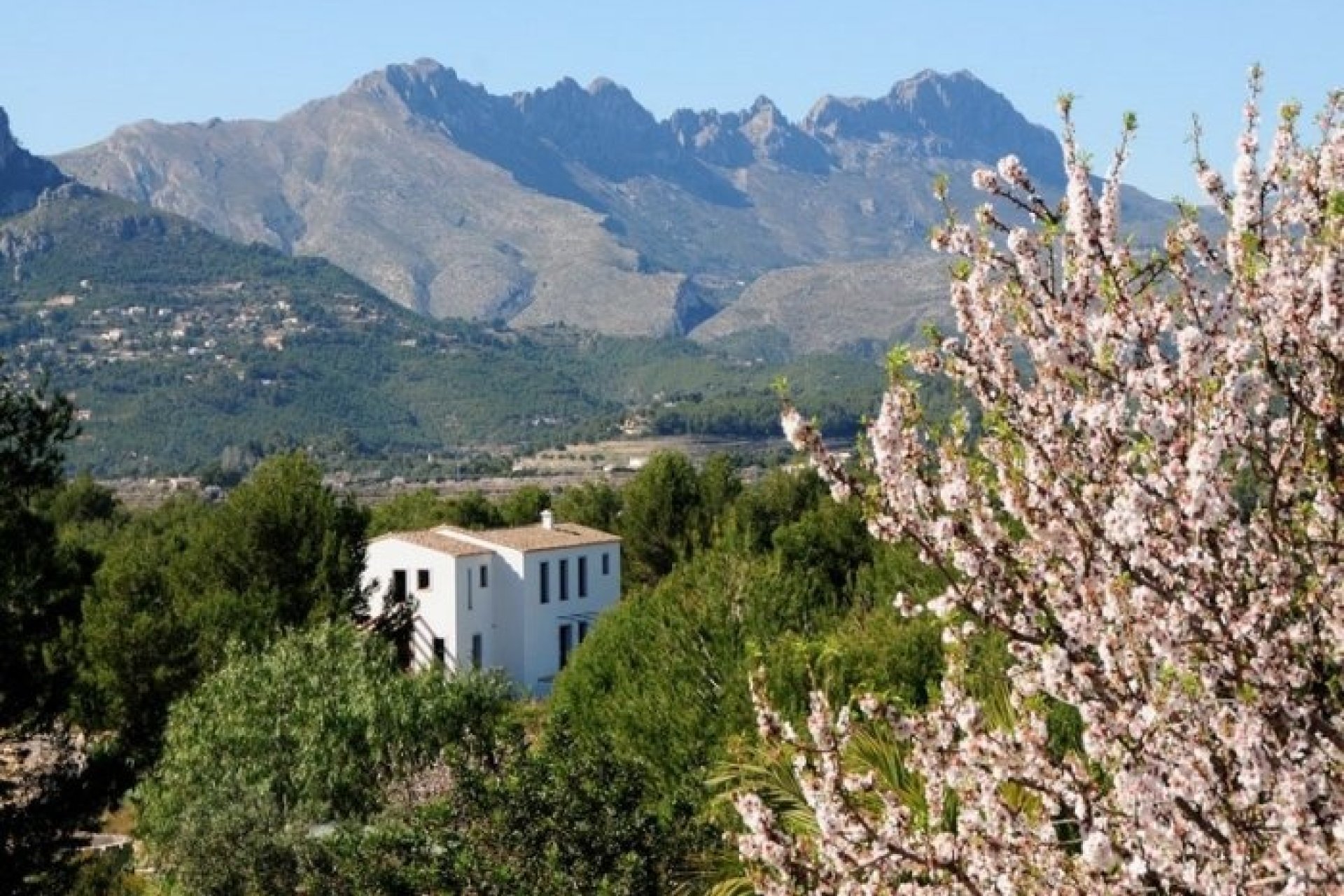 Vente - Finca - Benissa