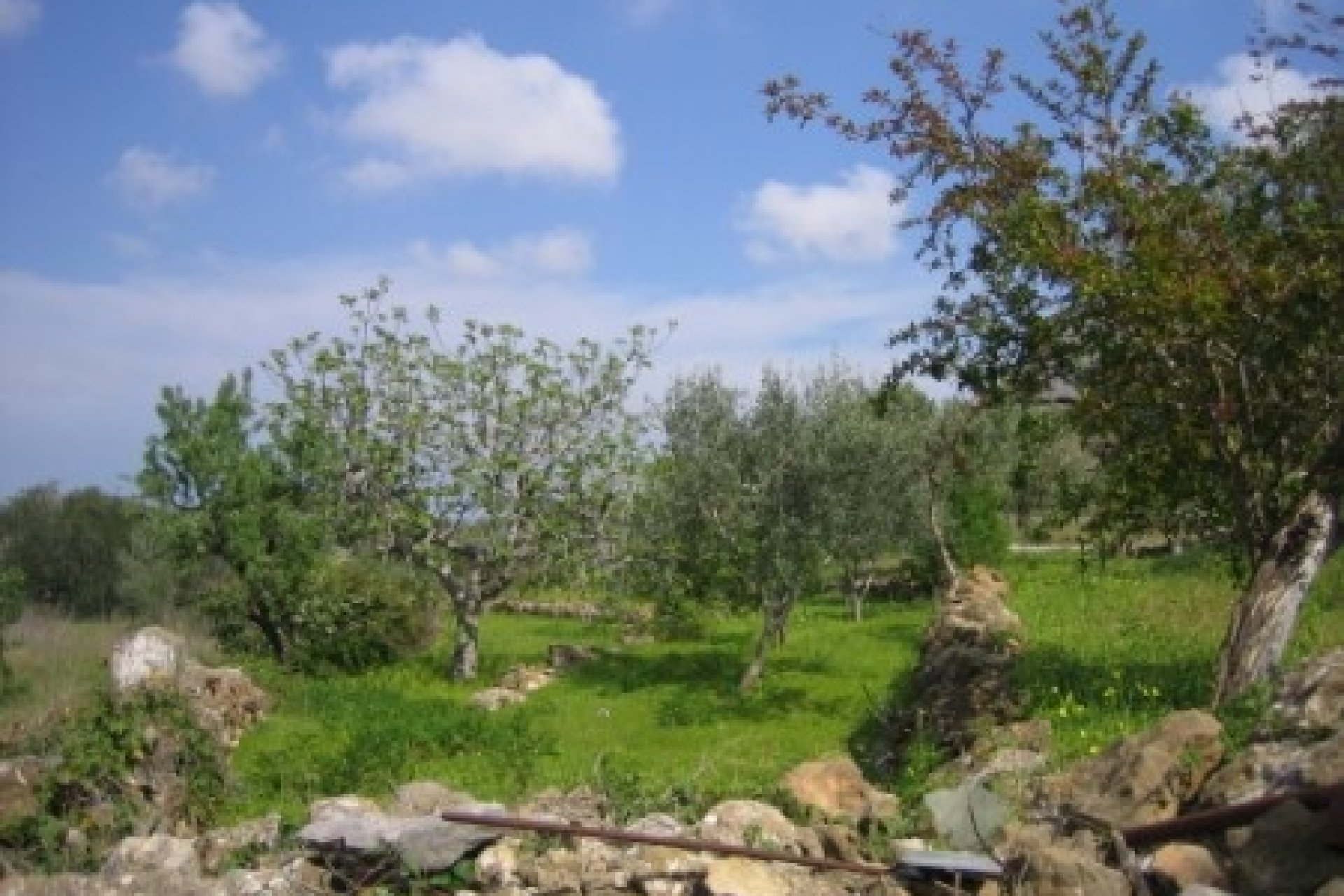 Vente - Finca - Benissa