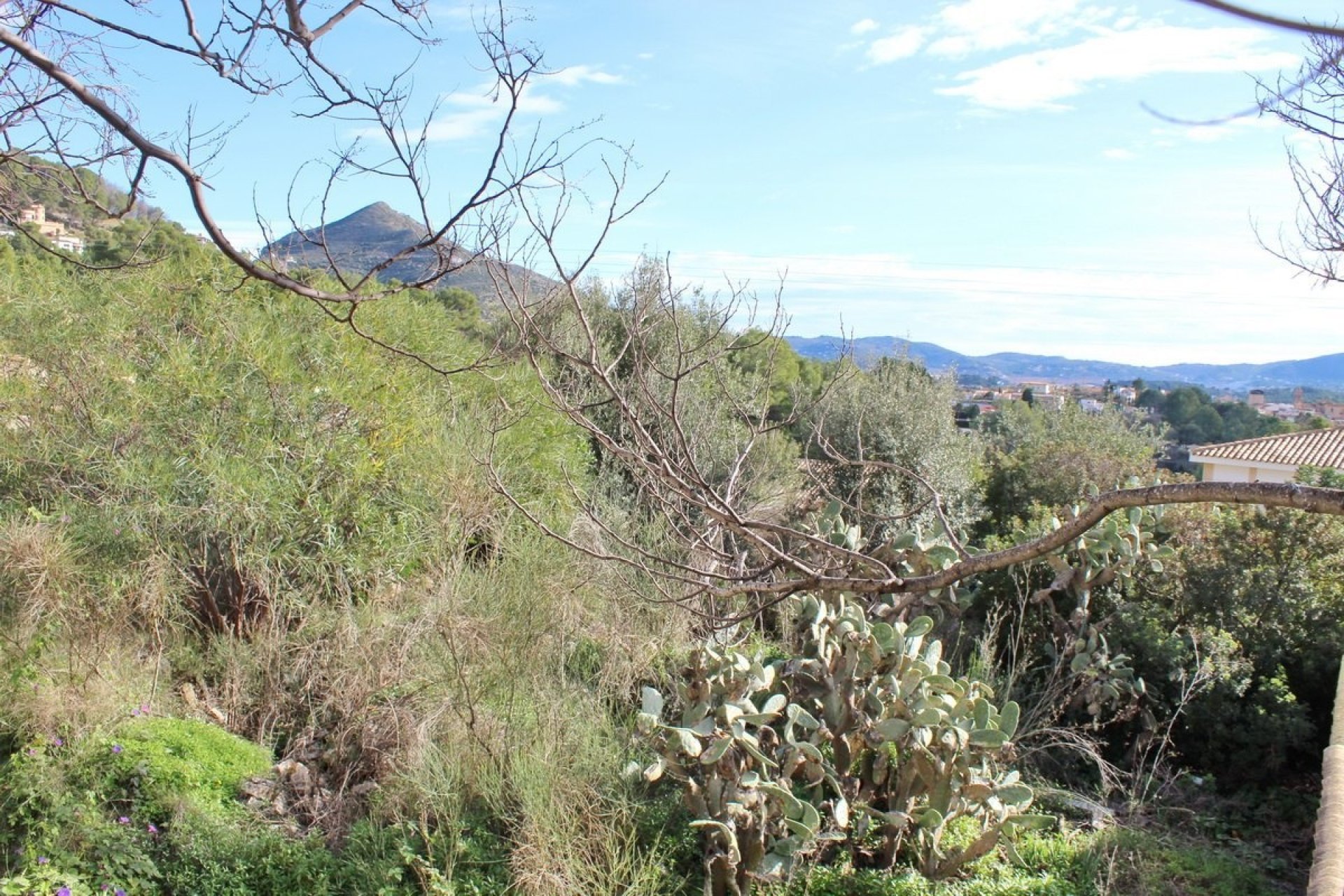 Vente - Plot - Alcalalí