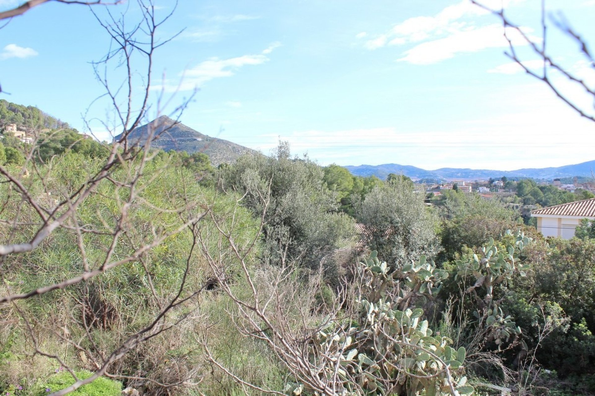 Vente - Plot - Alcalalí