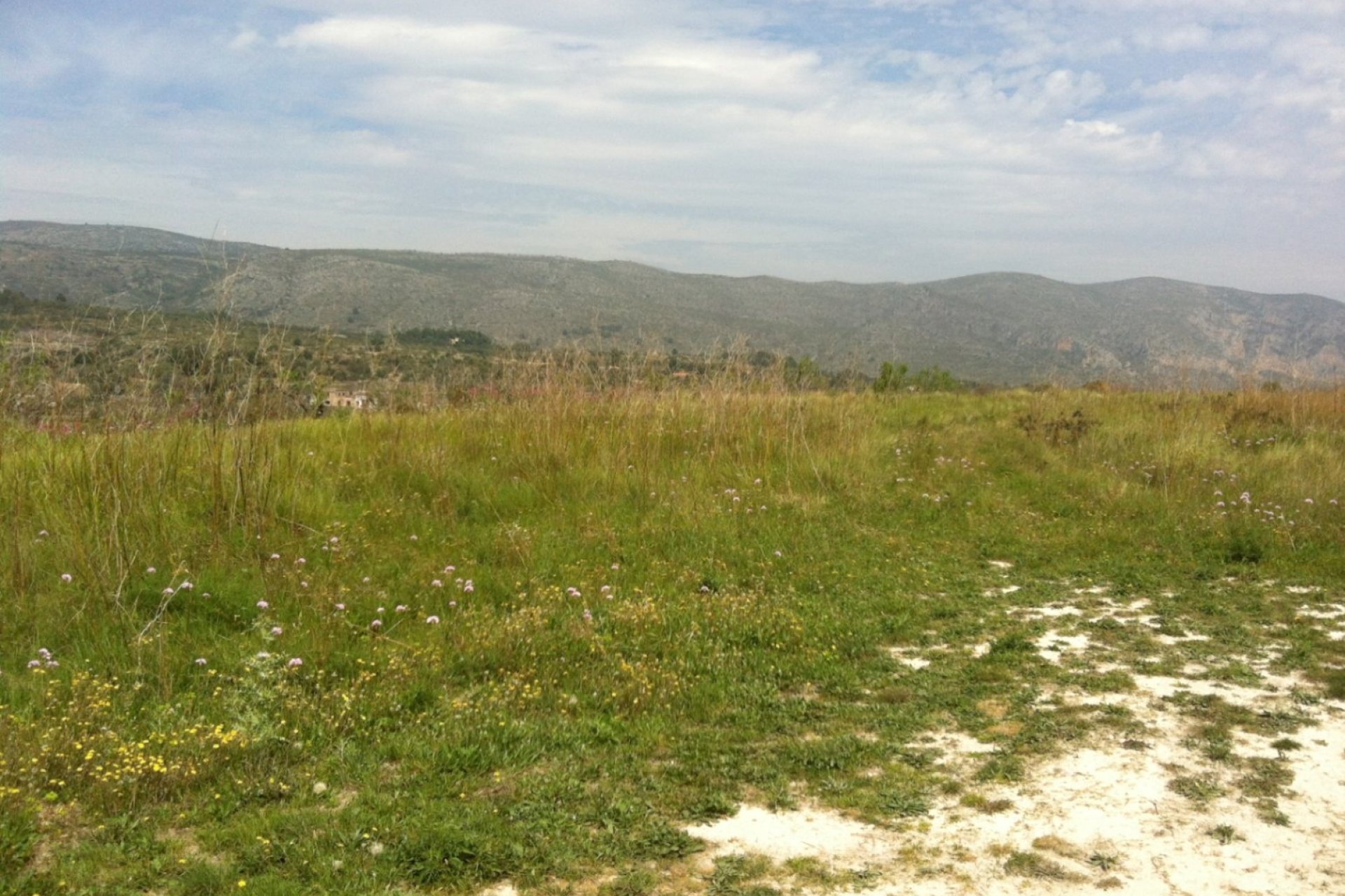 Vente - Plot - Benissa - Partida Berdica Blanca