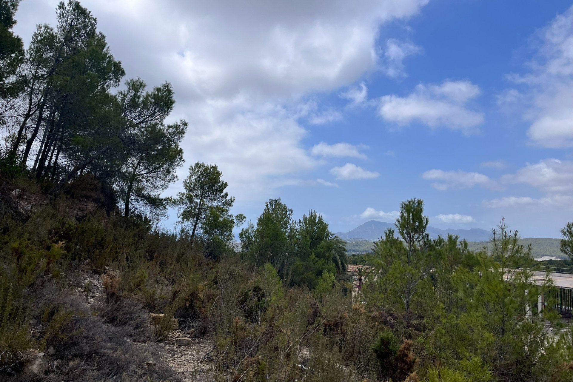 Vente - Terrain - Callosa d'En Sarrià - 03510