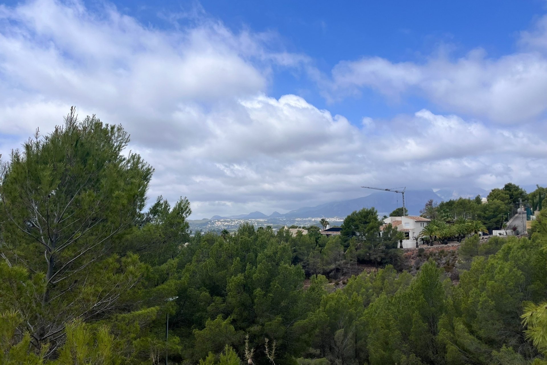 Vente - Terrain - Callosa d'En Sarrià - 03510