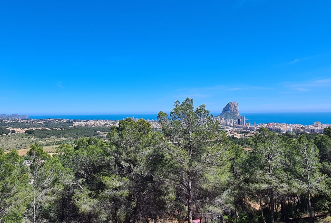 Vente - Terrain - Calpe - 03710