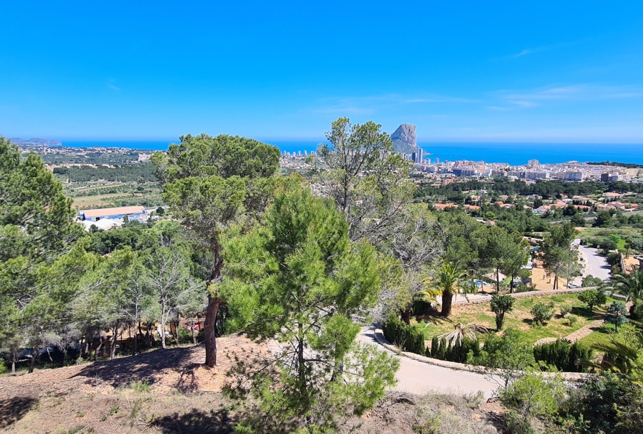 Vente - Terrain - Calpe - 03710