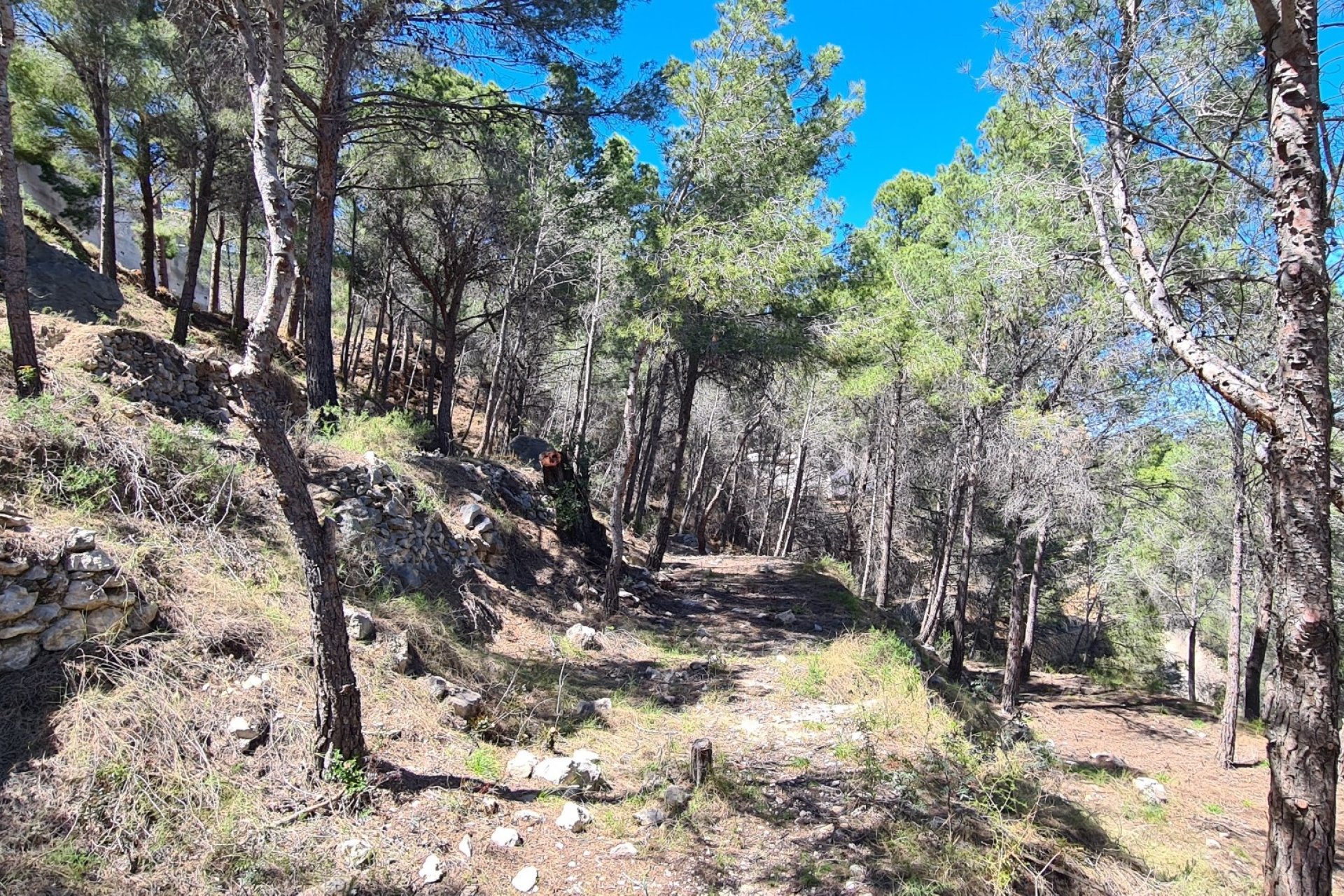 Vente - Terrain - Calpe - 03710