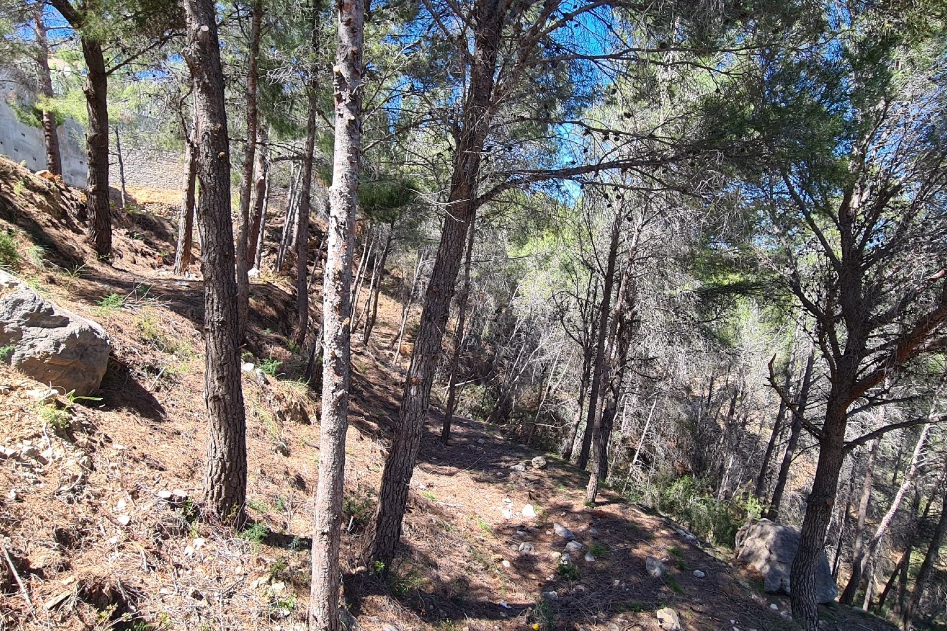 Vente - Terrain - Calpe - 03710