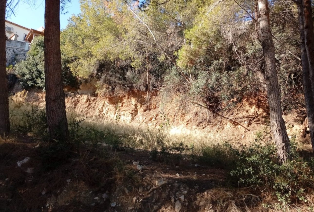 Vente - Terrain - Calpe - Oltamar
