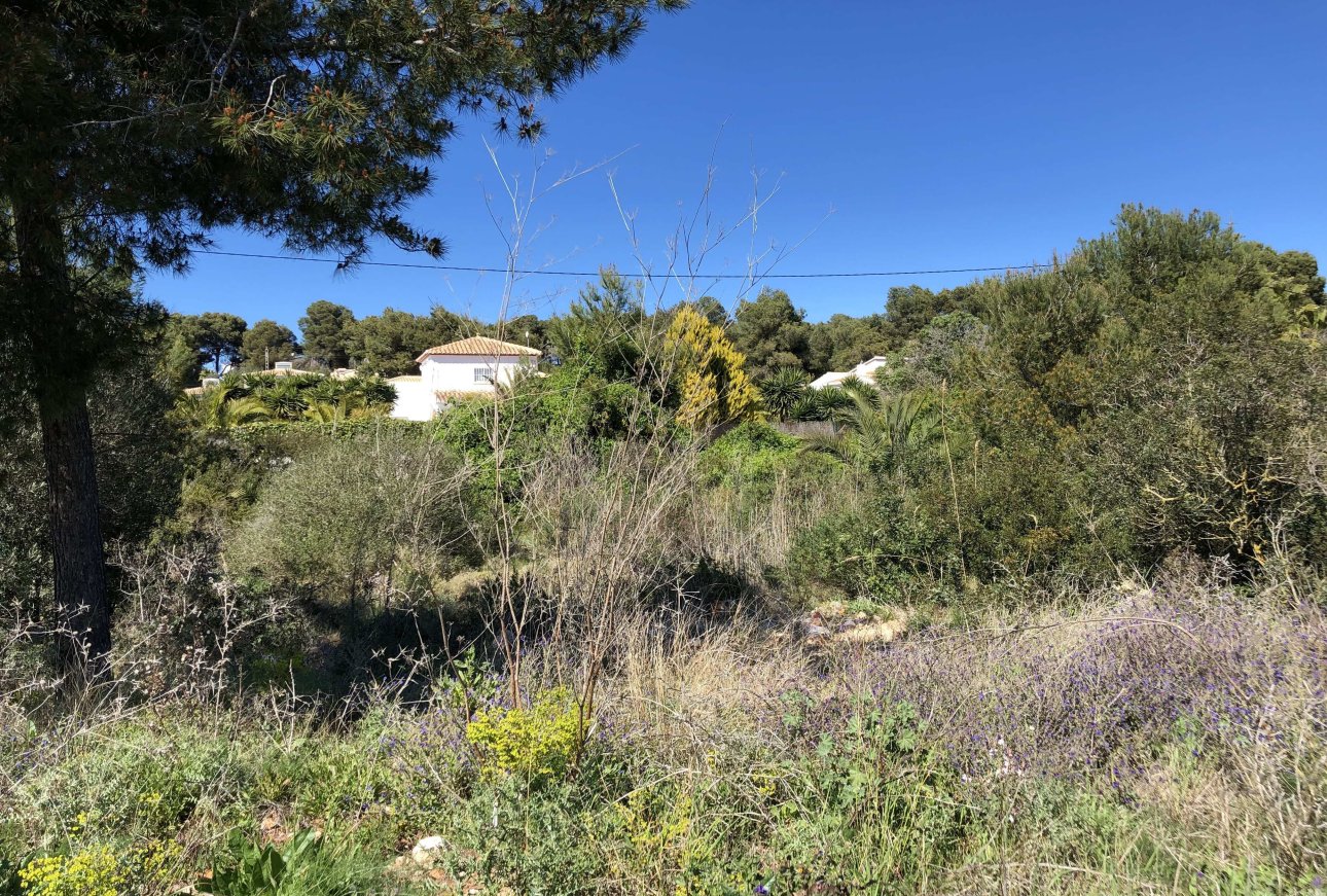 Vente - Terrain - Javea - Costa Nova