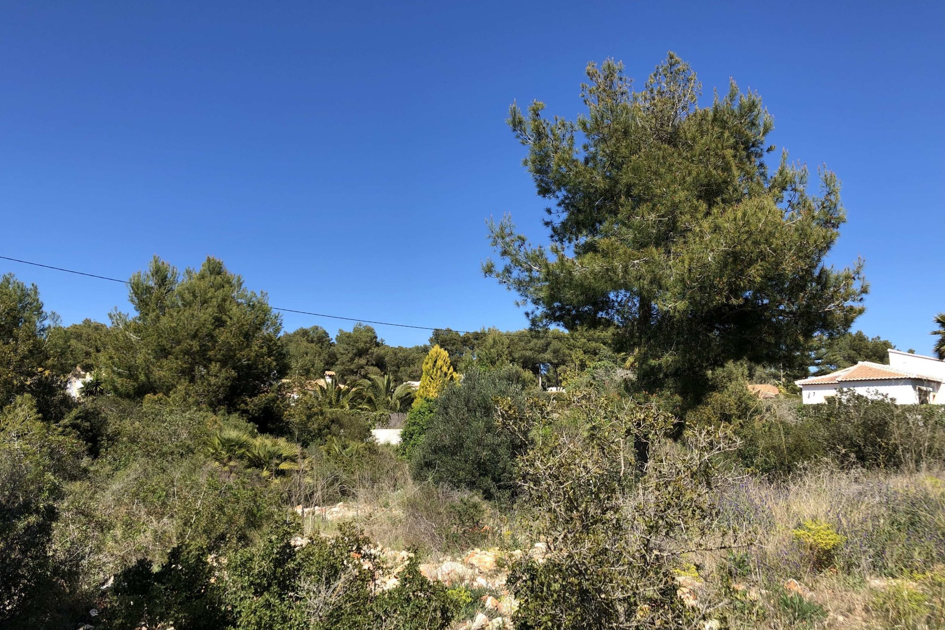 Vente - Terrain - Javea - Costa Nova